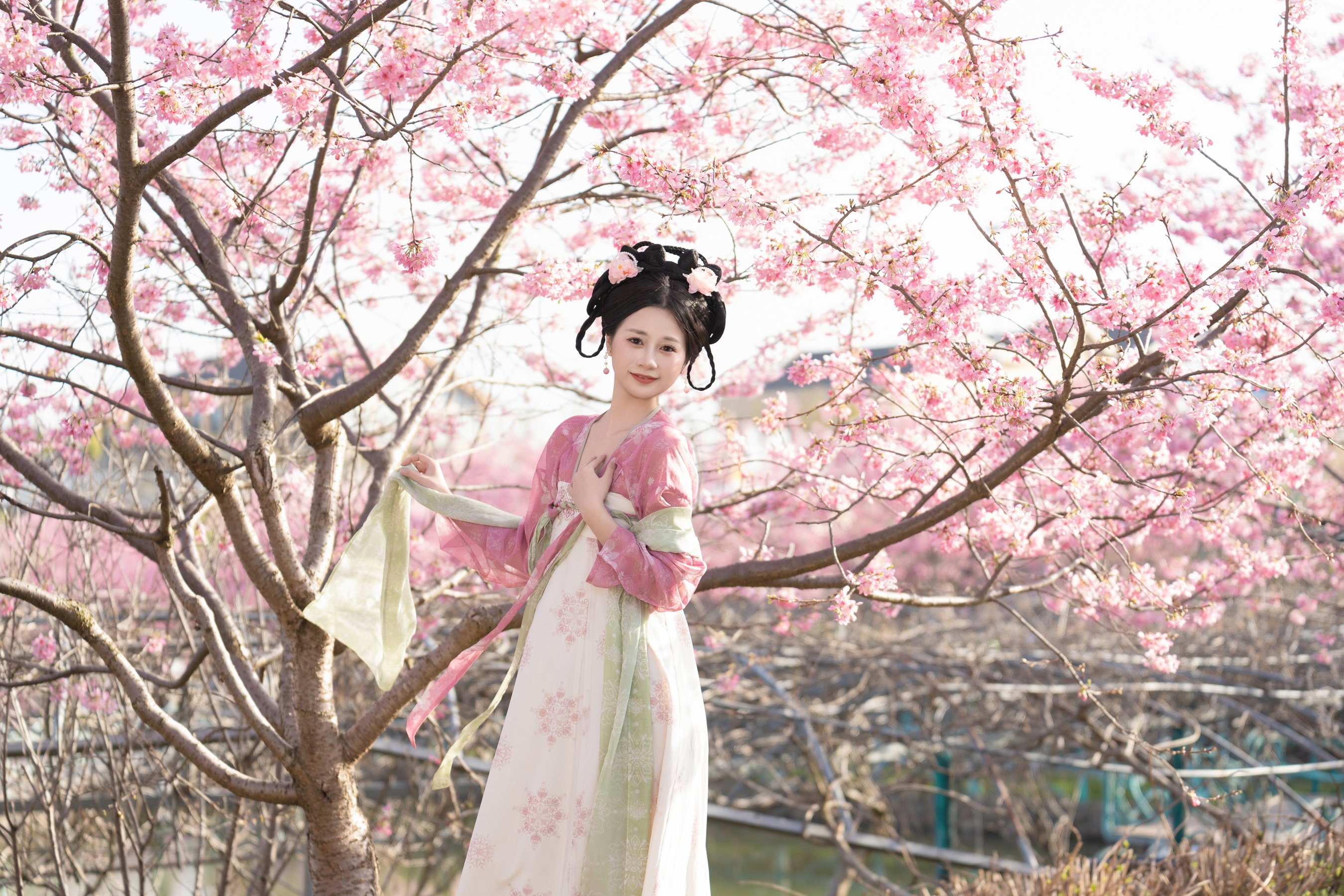 樱花汉服 橙子舒