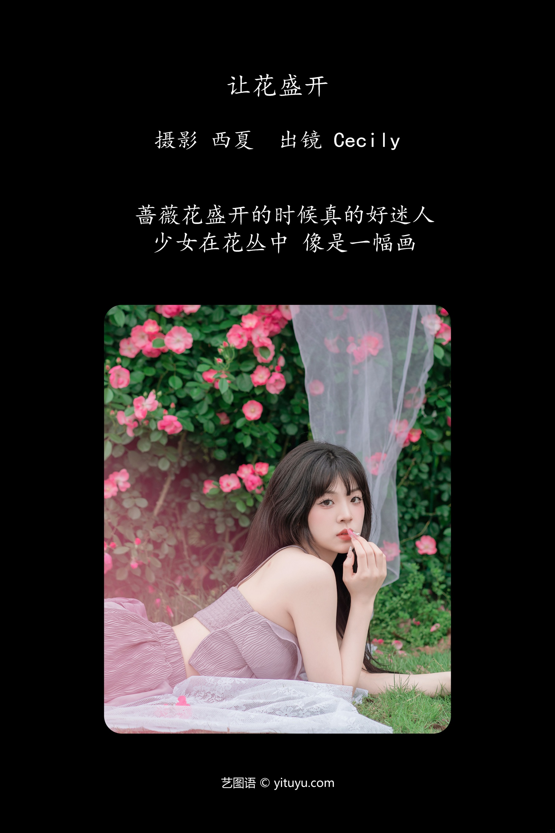 让花盛开 赛的过西莉吗