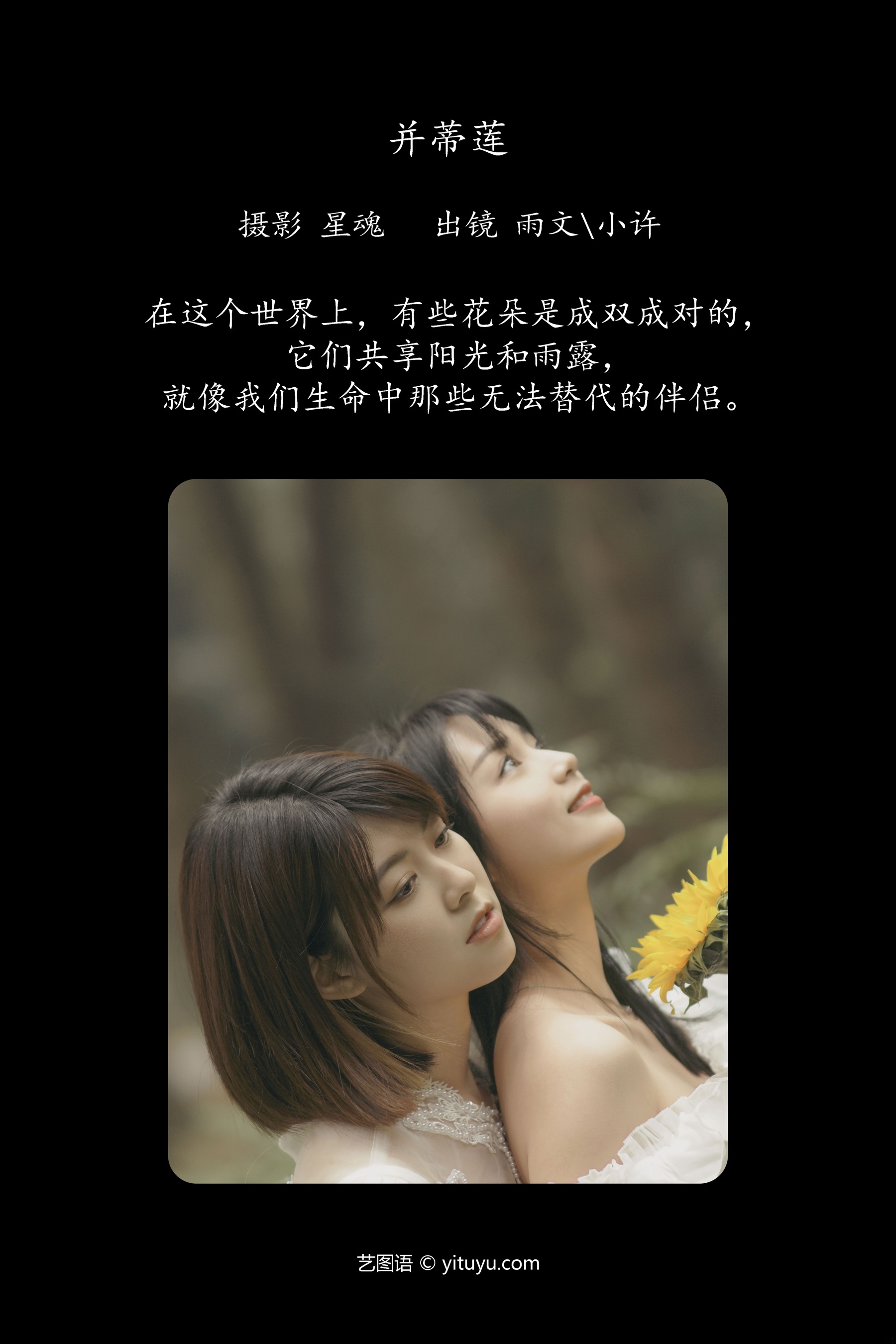 并蒂莲 小许