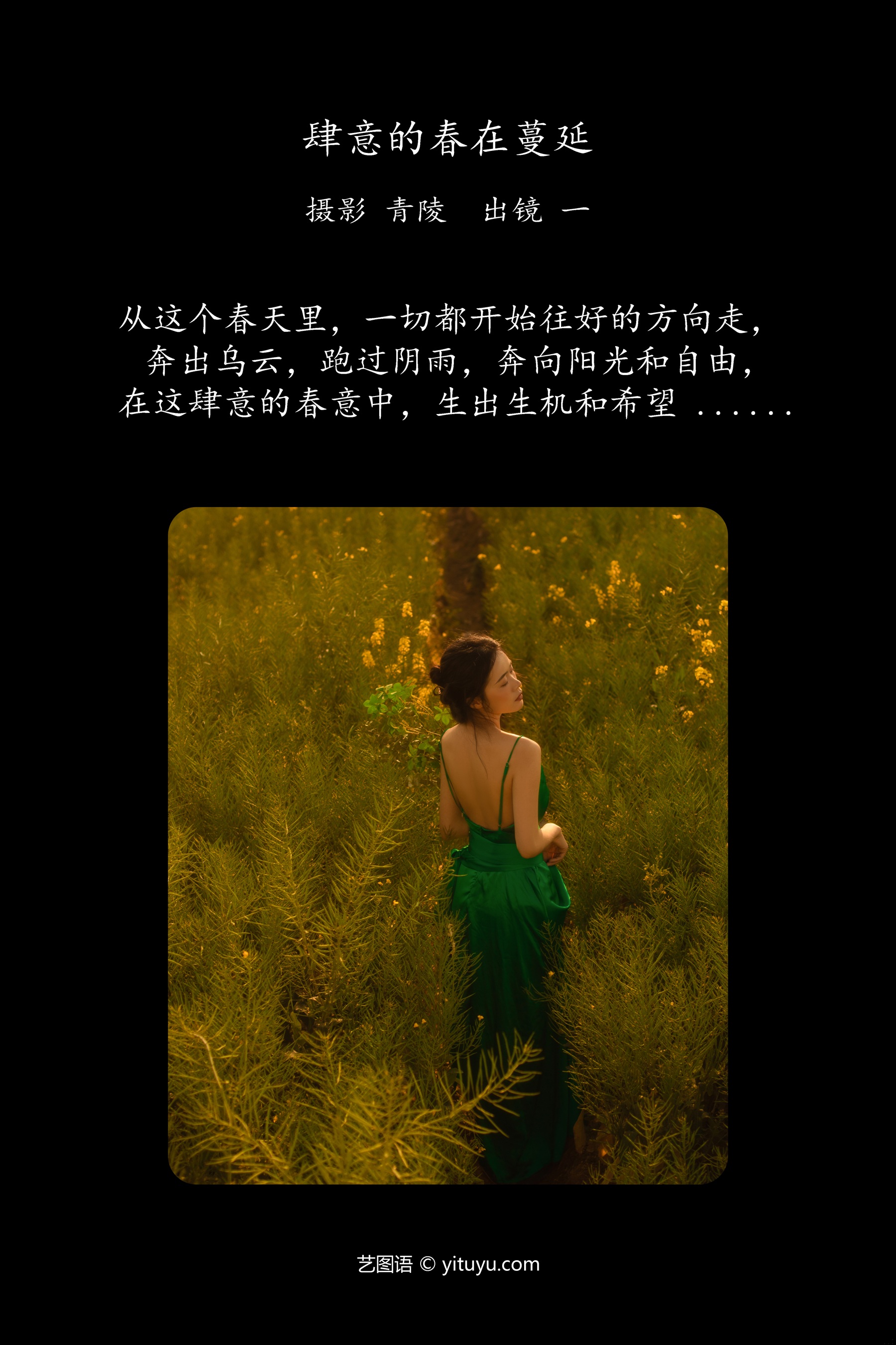 肆意的春在蔓延 一