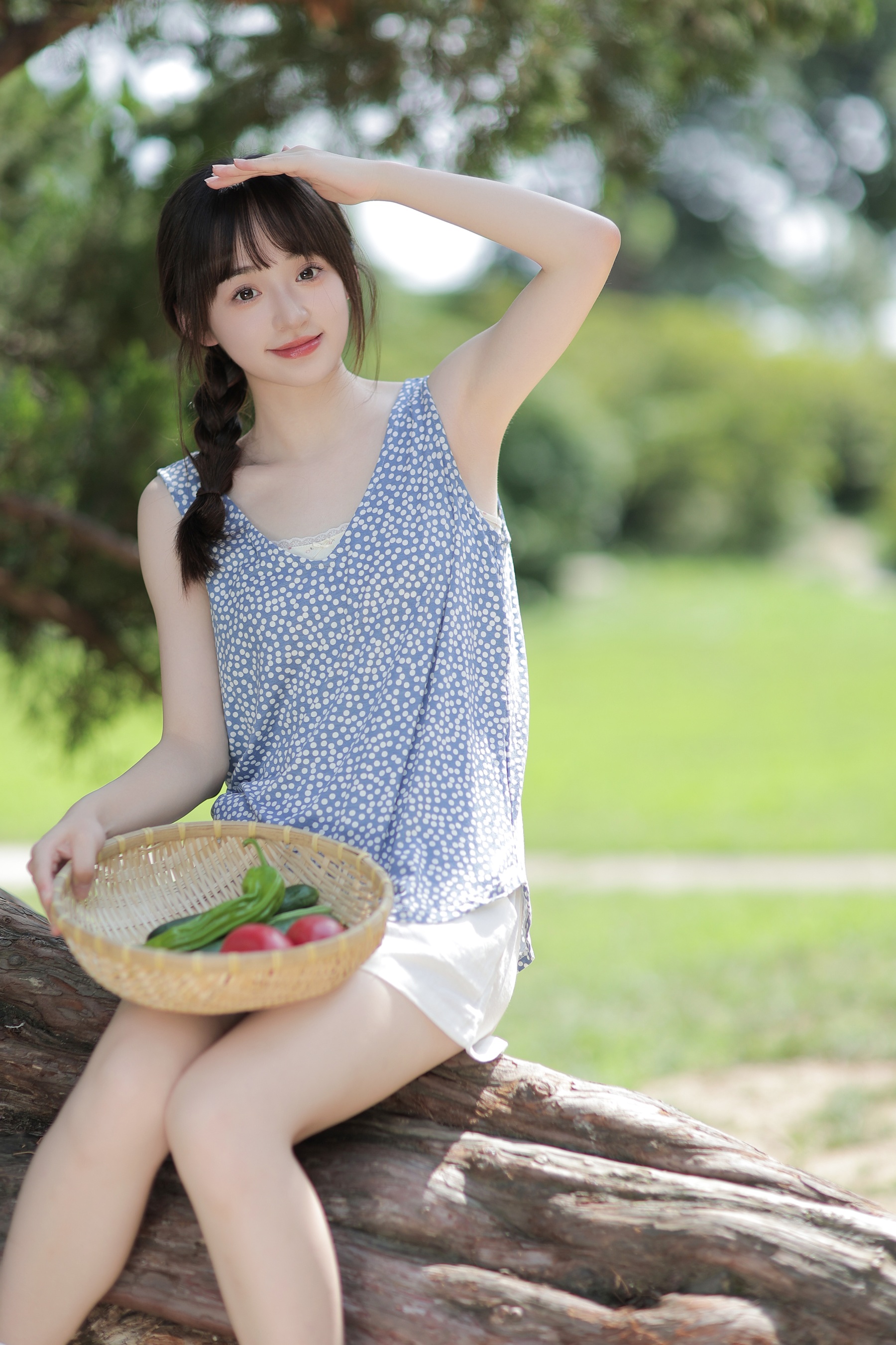 小森林 licaicain