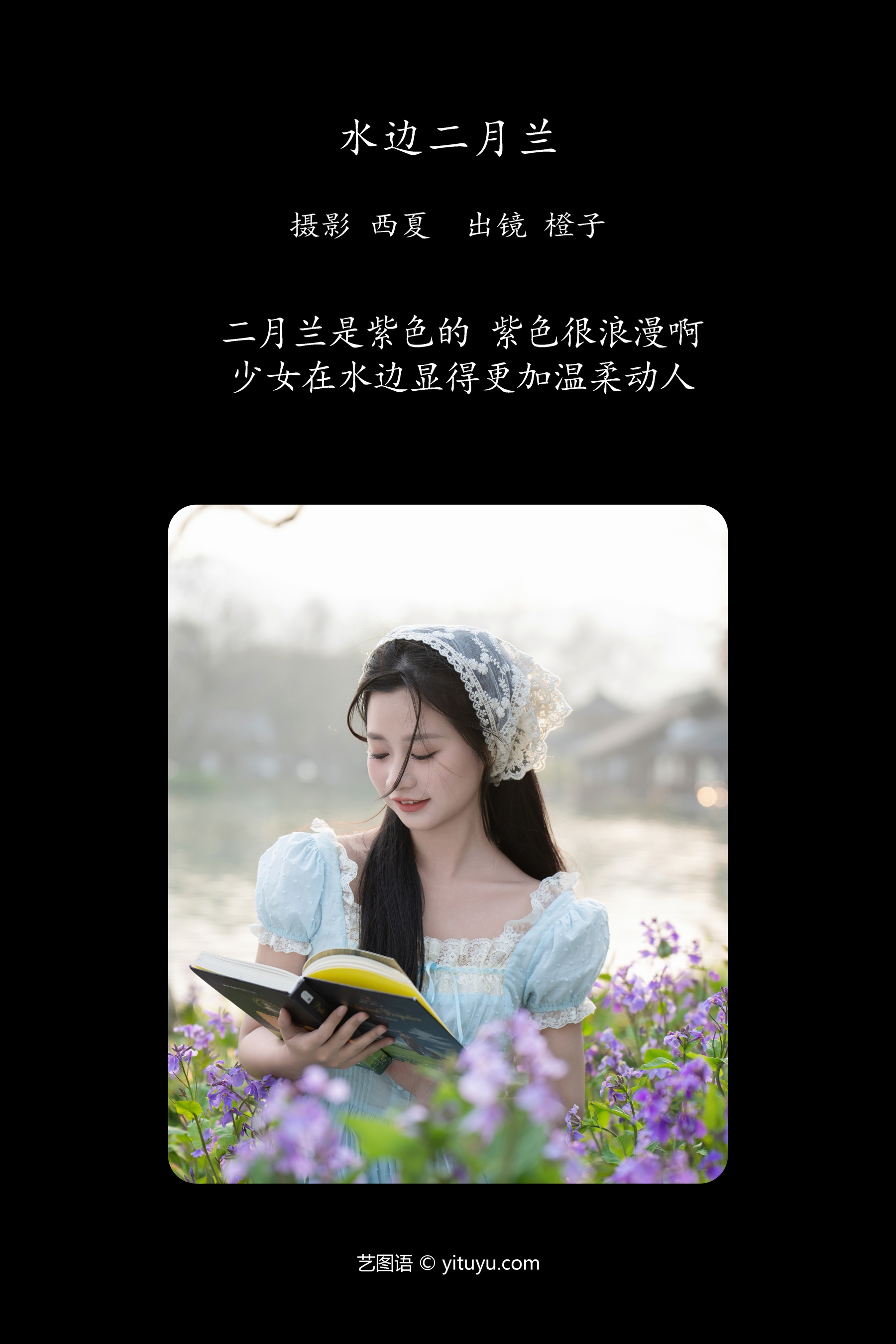 水边二月兰 橙子舒