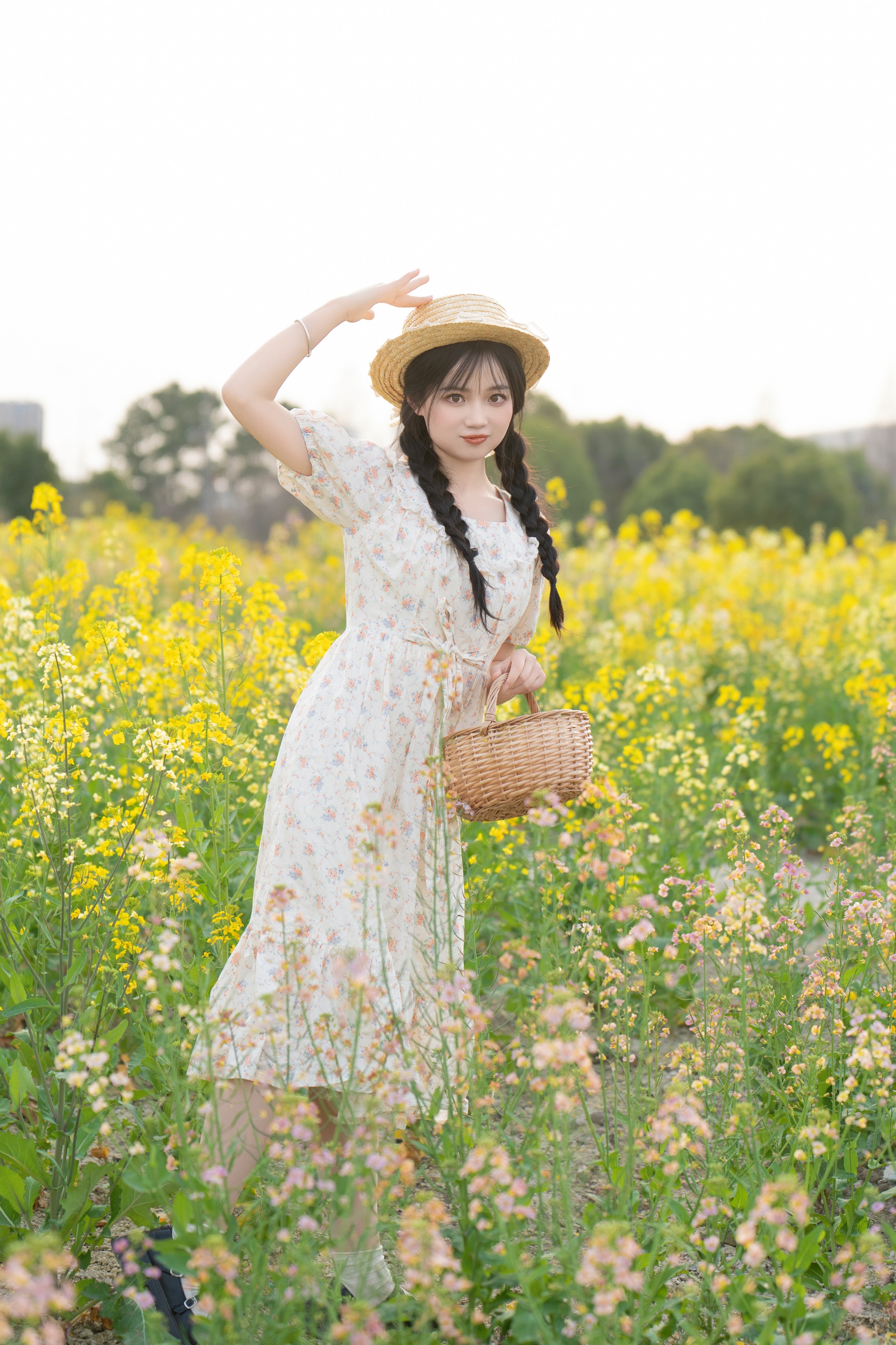 七彩油菜花 小欧O