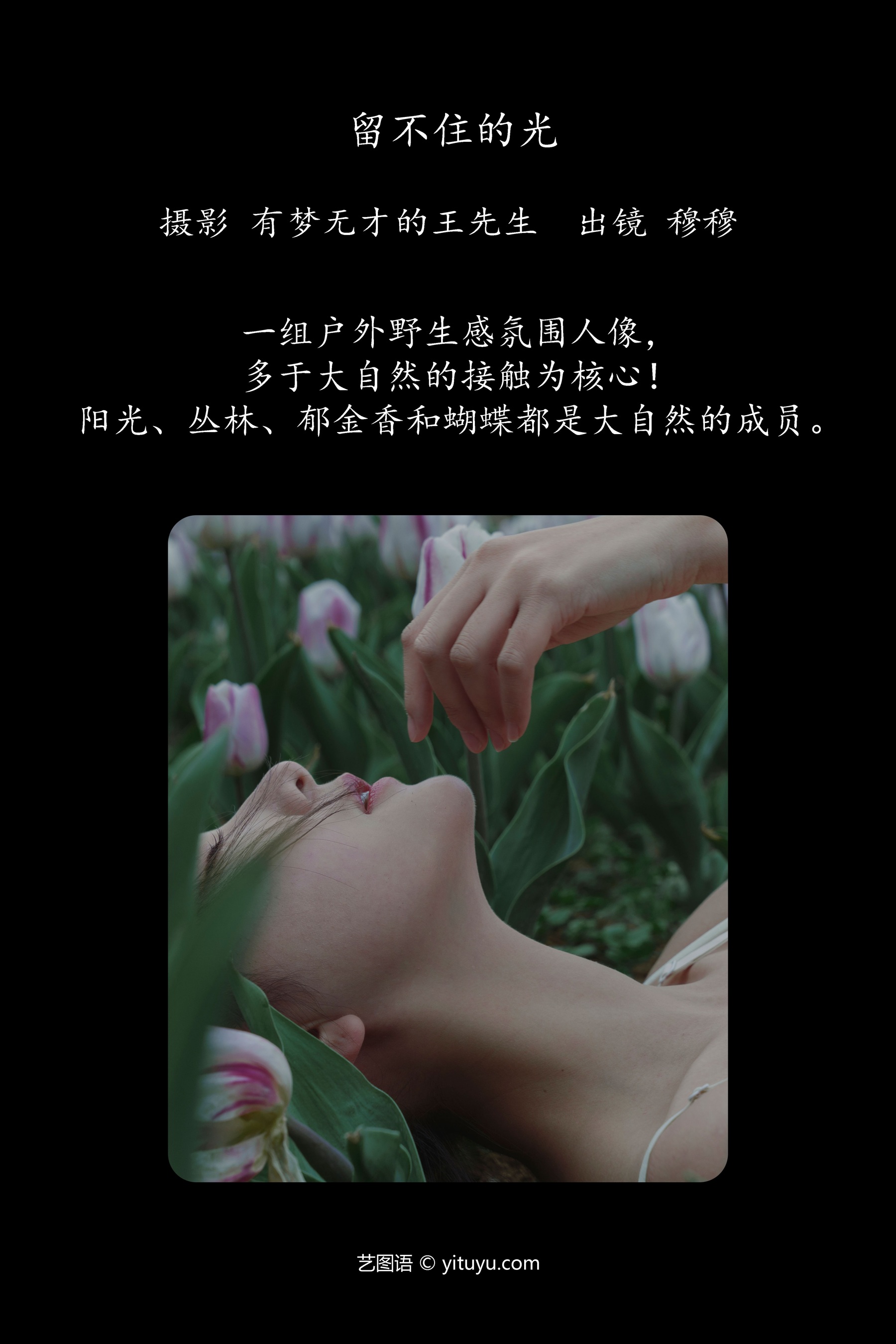 留不住的光 穆穆
