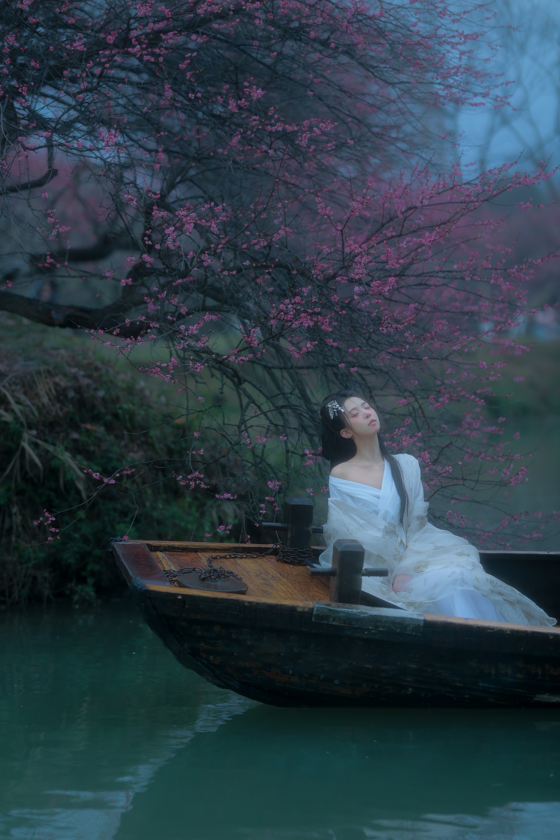 西溪赏梅 李瓜瓜