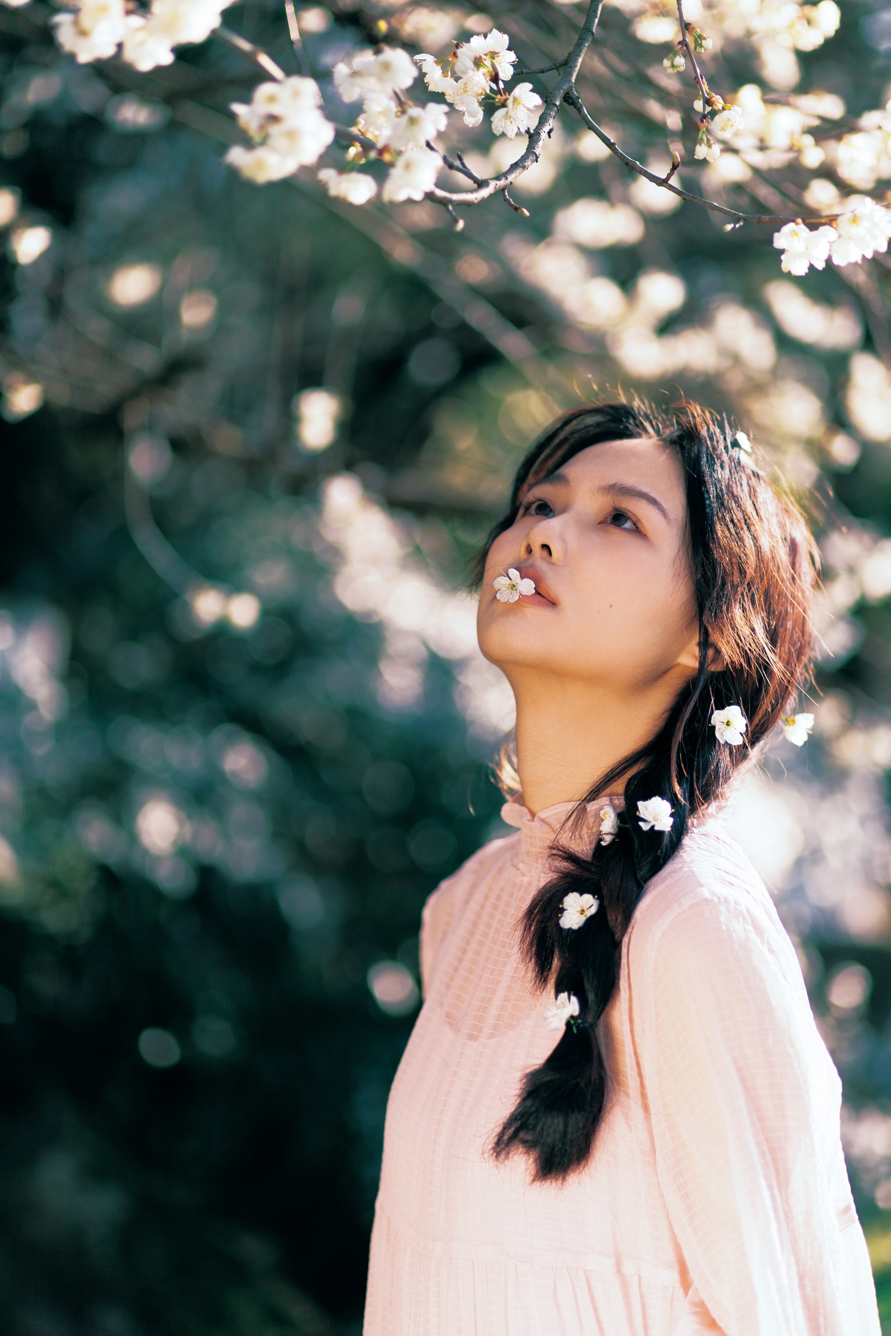 春日樱 zora
