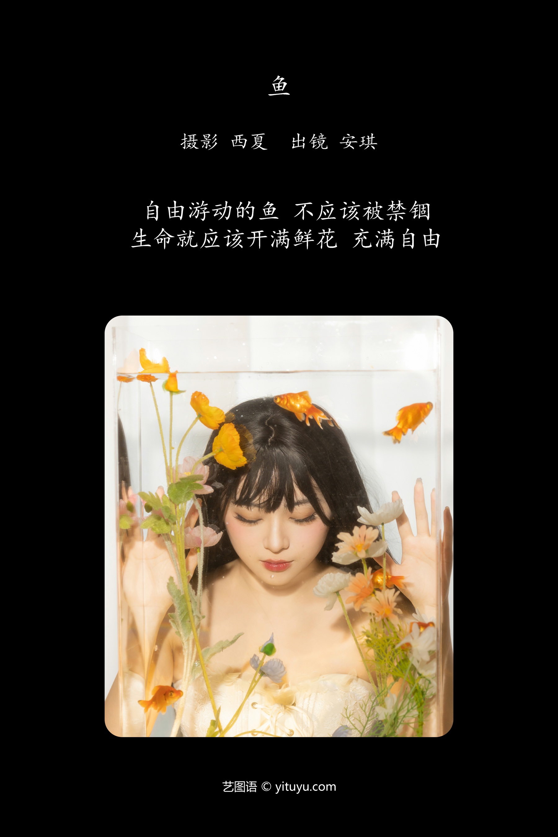 鱼 安琪不吃香菇