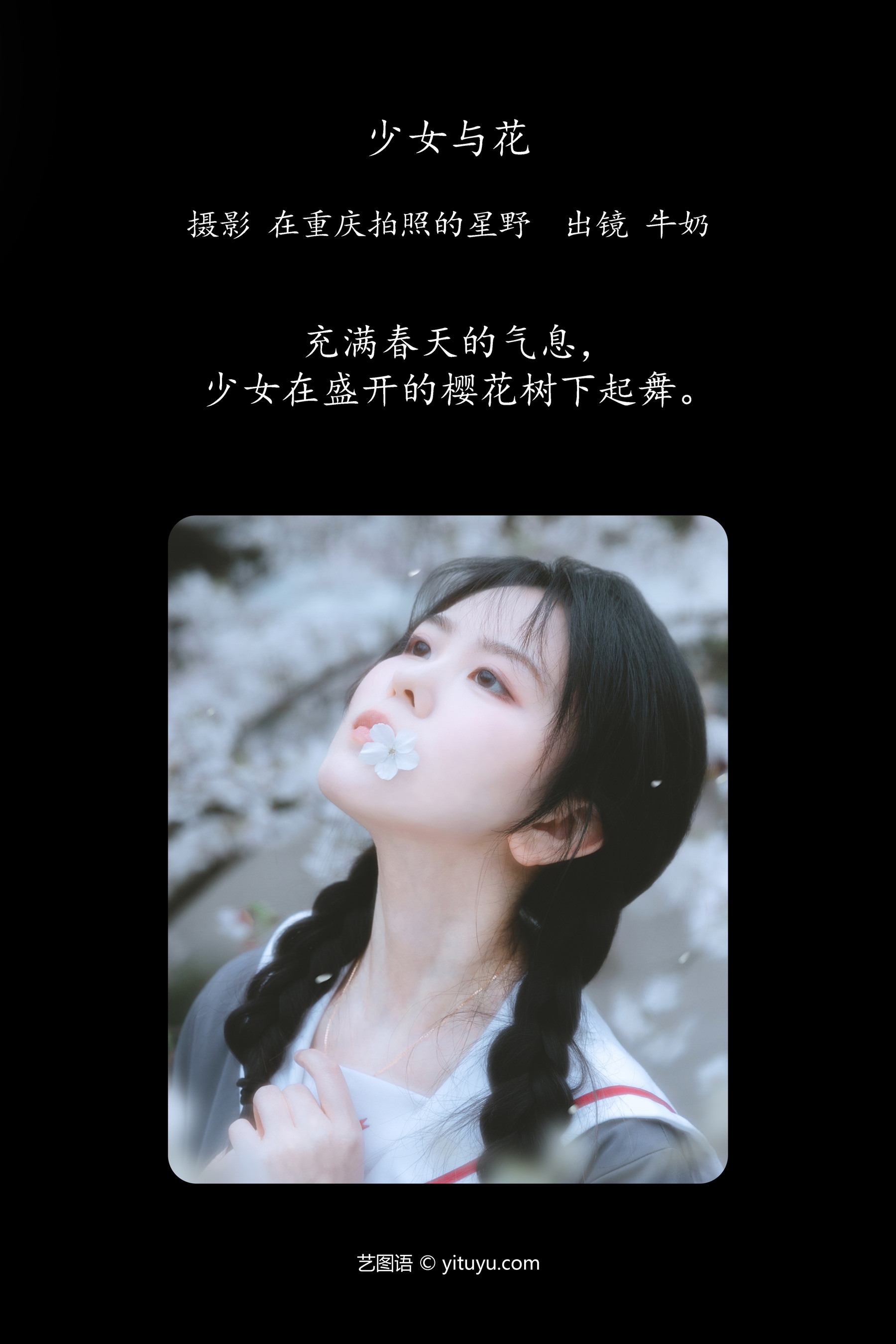少女与花 牛奶