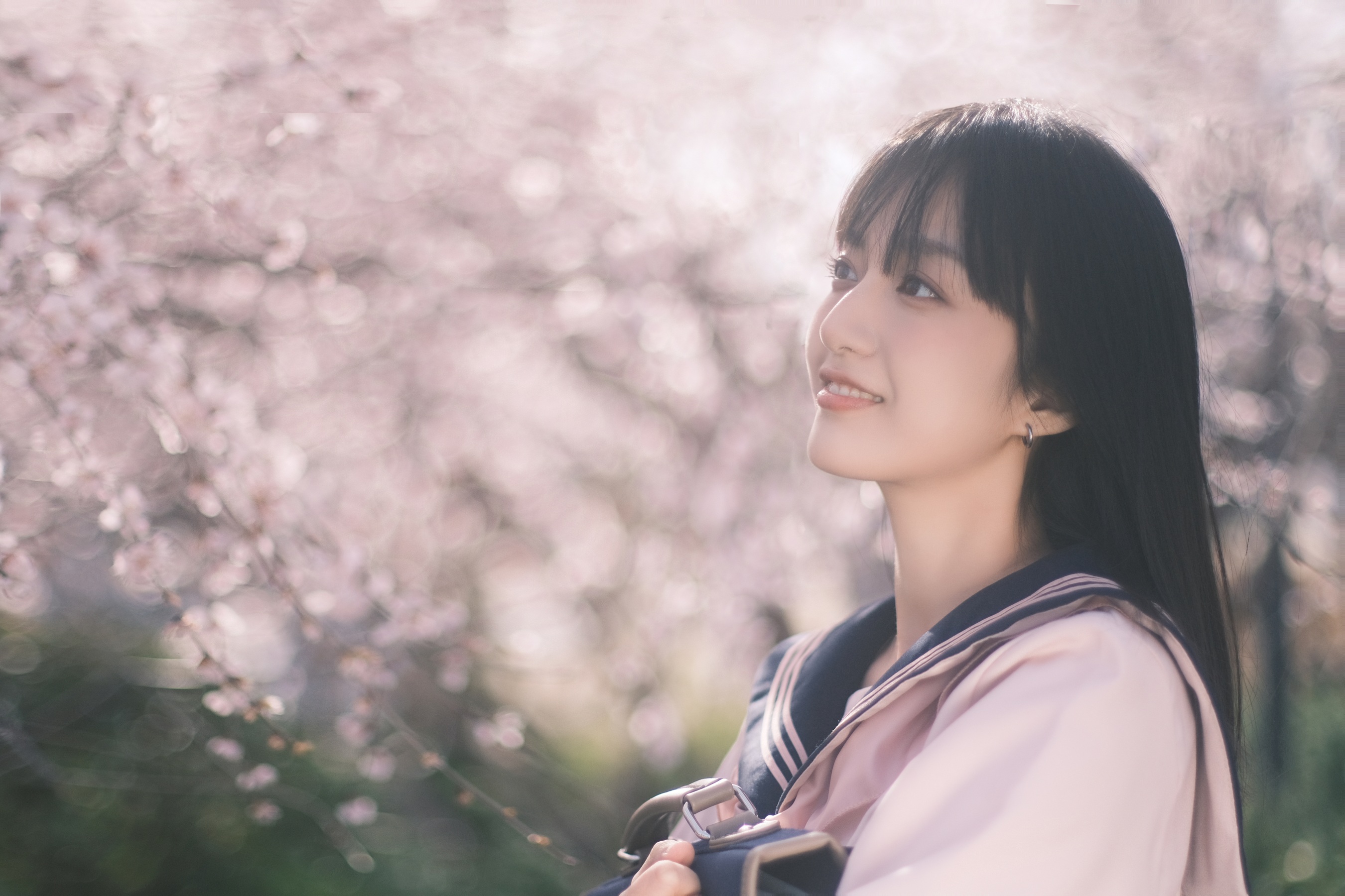 樱花树下樱花妹 非常亮