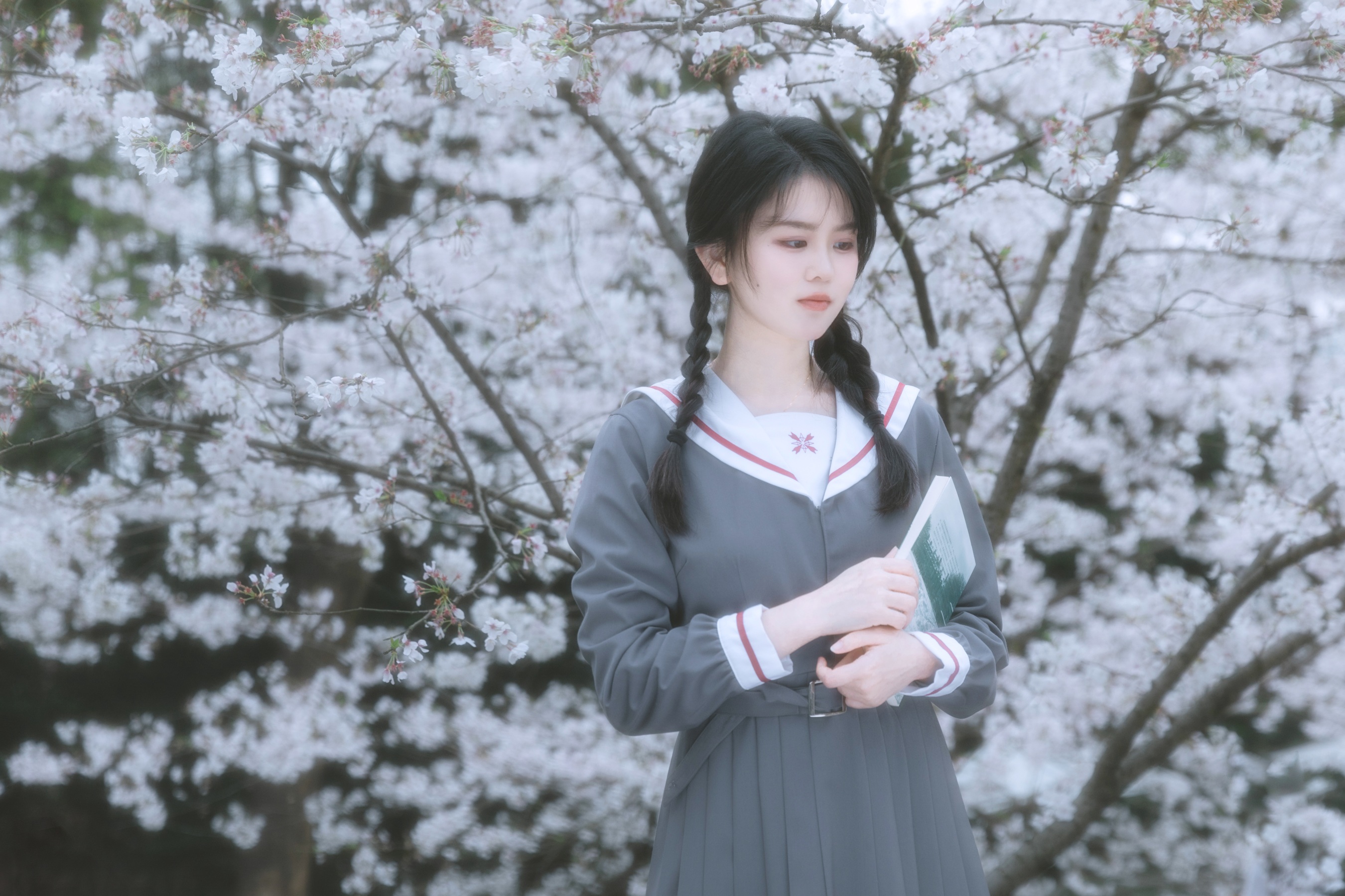 少女与花 牛奶