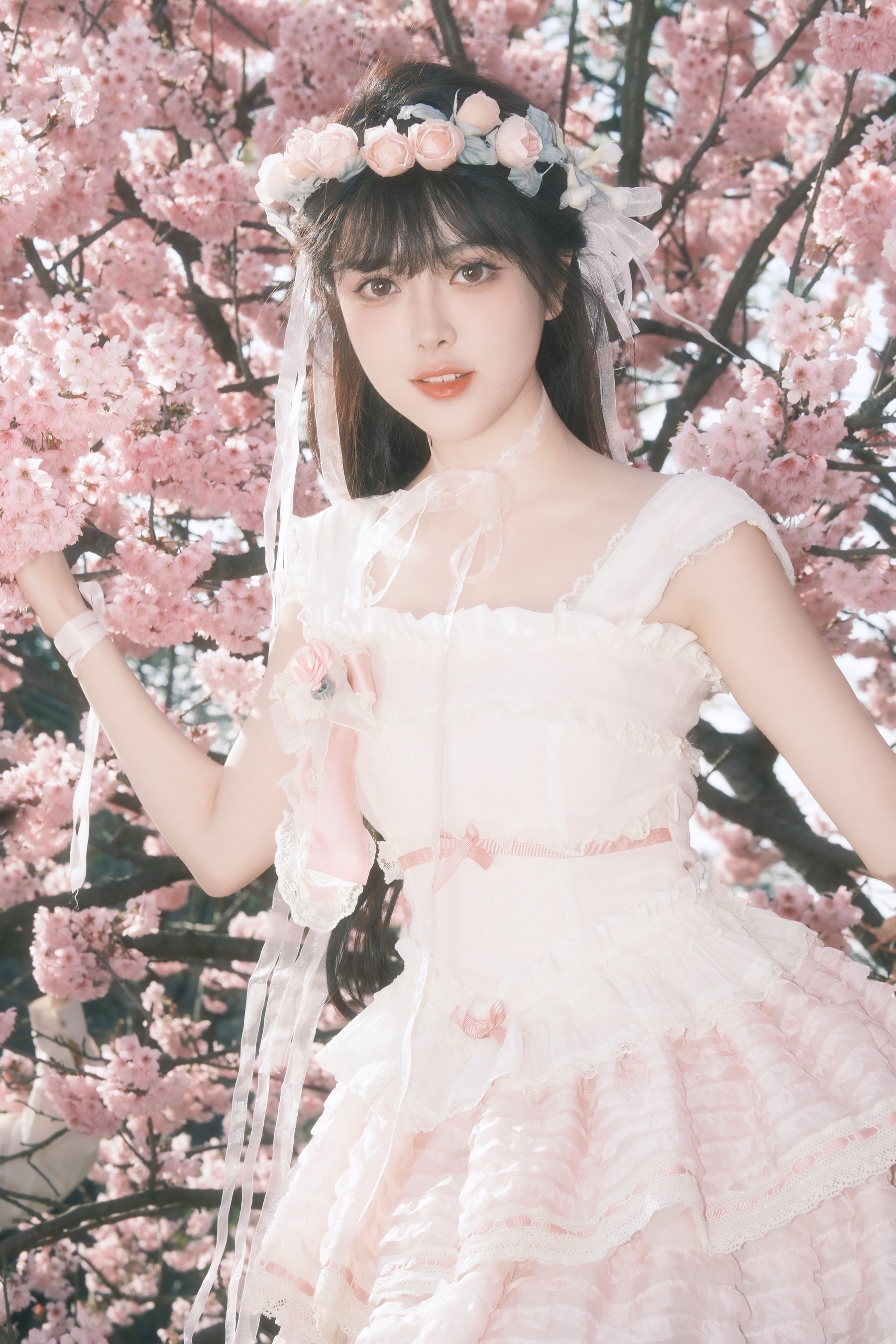 樱花少女梦 星之卡桃