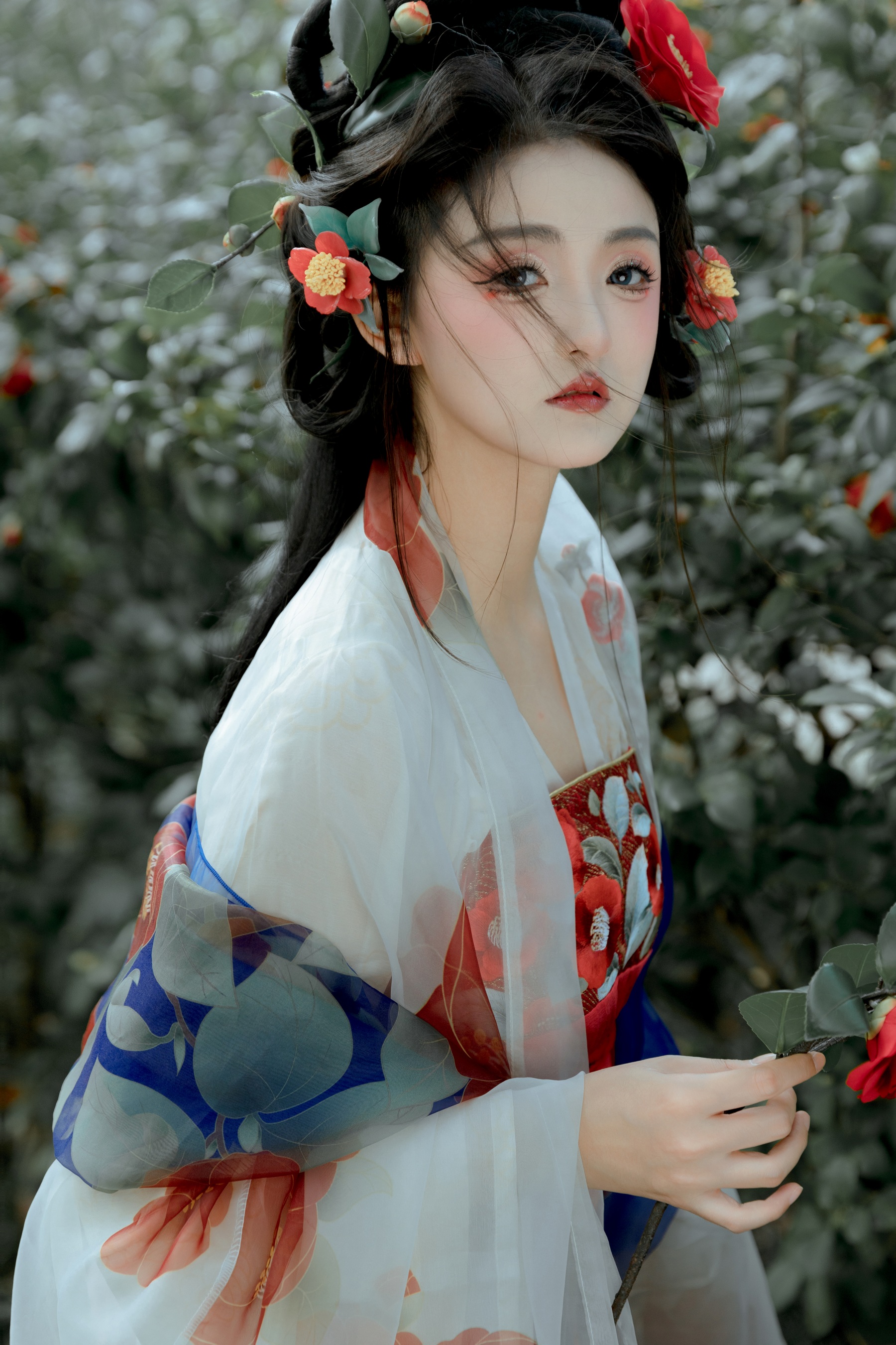 红山茶 华丽