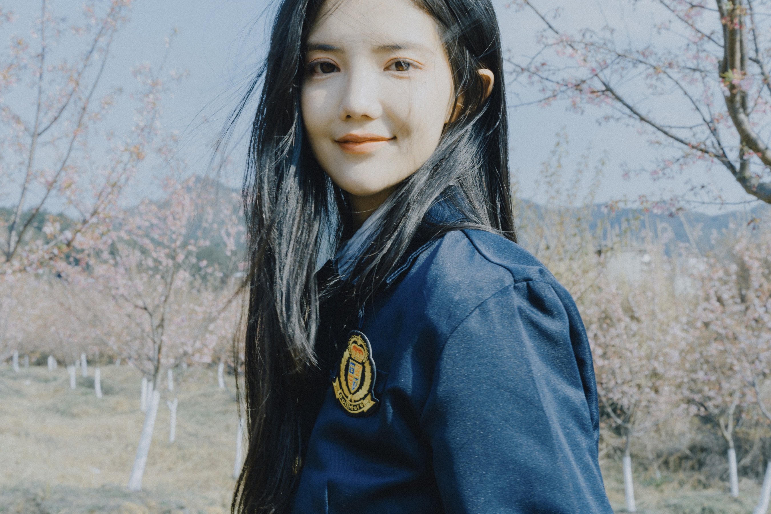 樱花已开 颜十一