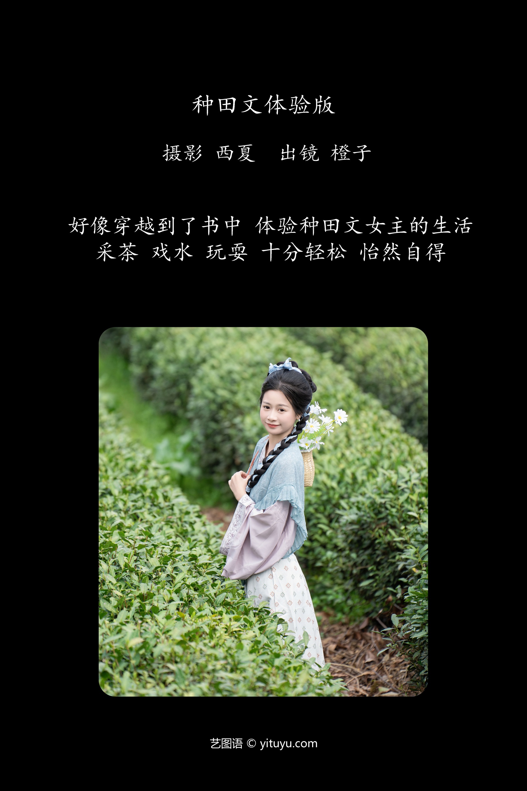 种田文体验版 橙子舒