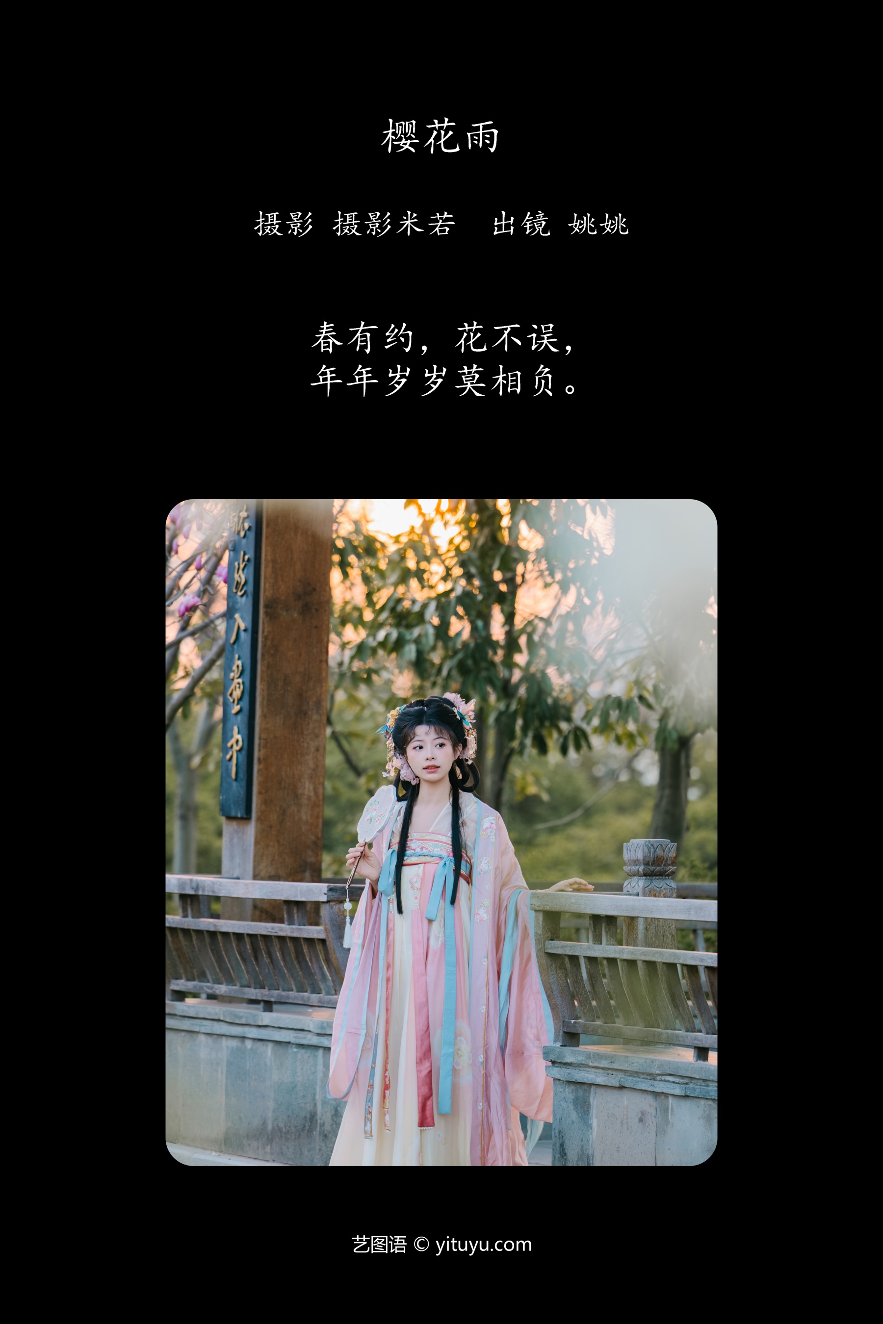 樱花雨 姚姚