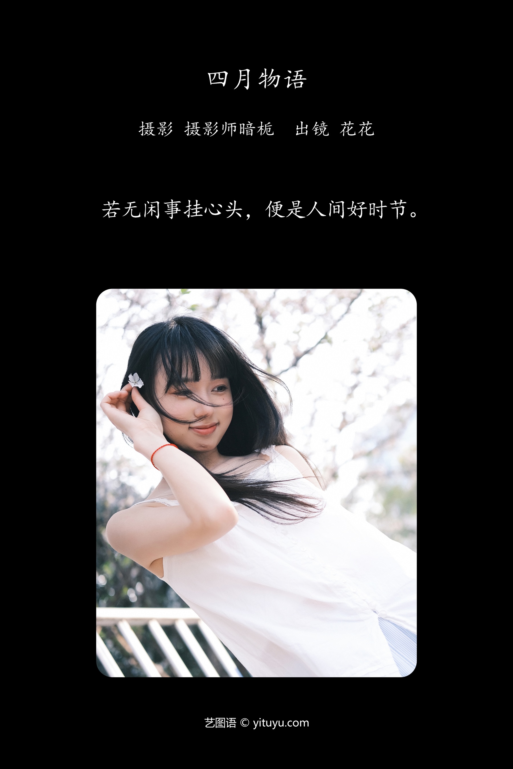四月物语 海带木鱼花