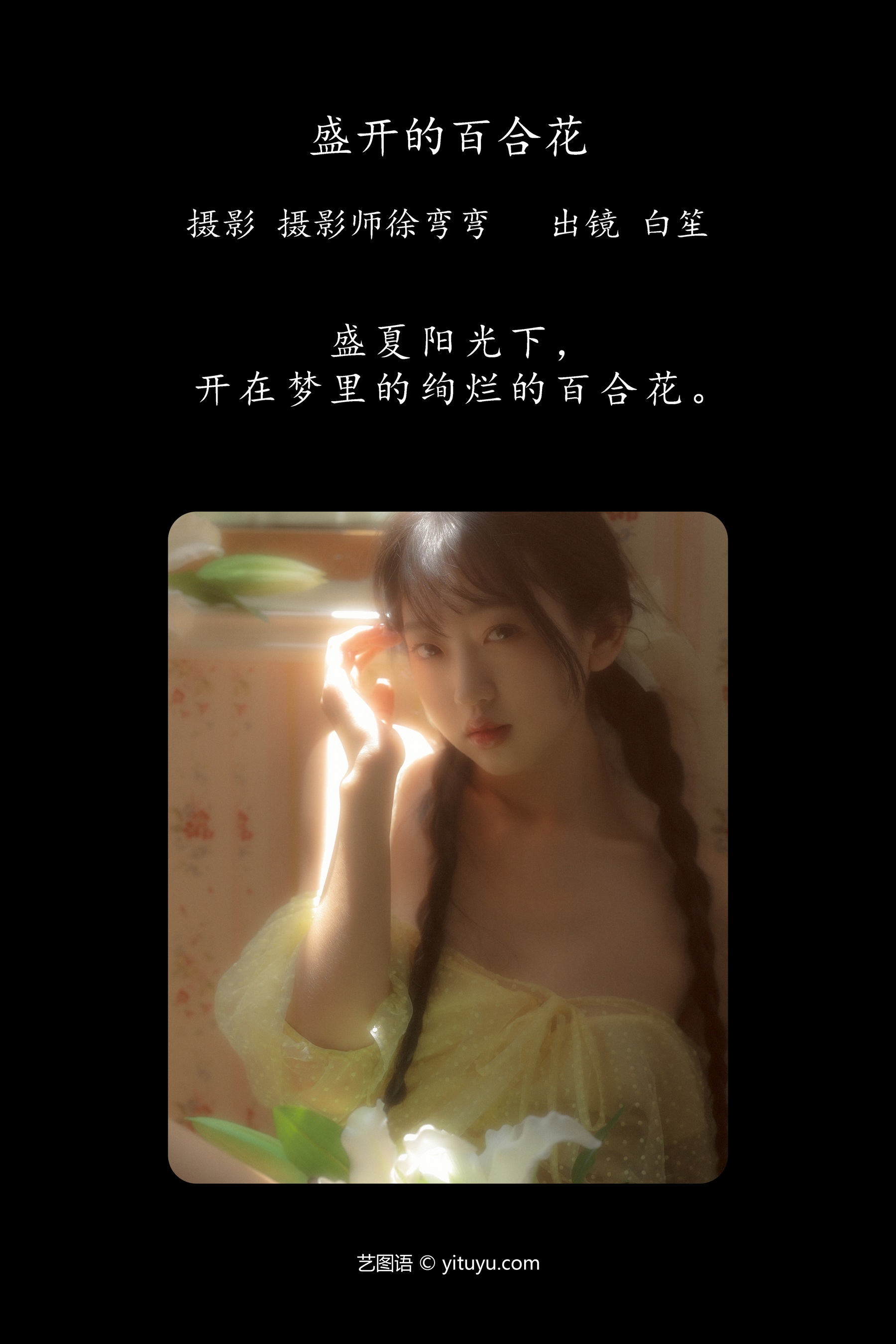 盛开的百合花 白笙