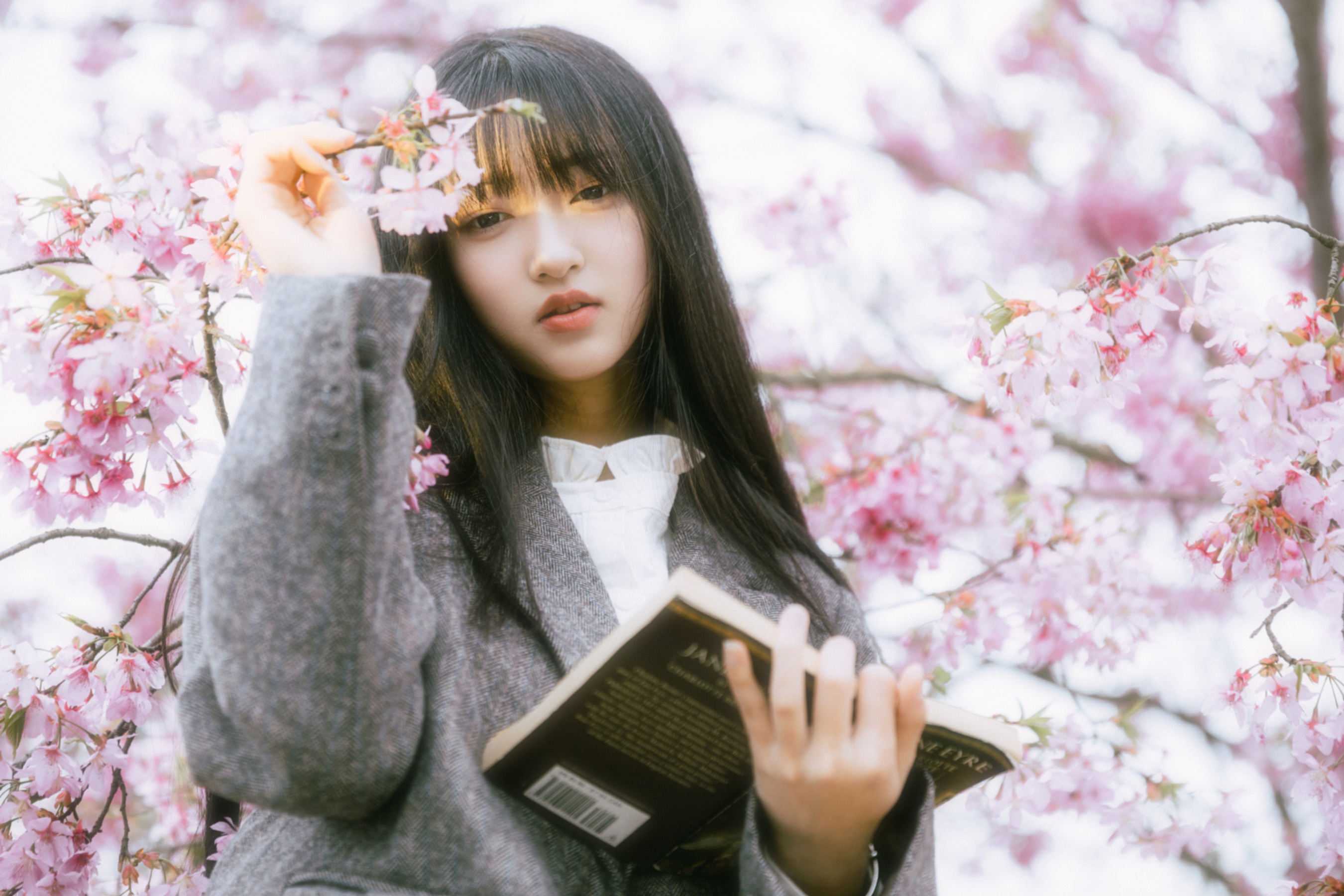 春的信 二两风月