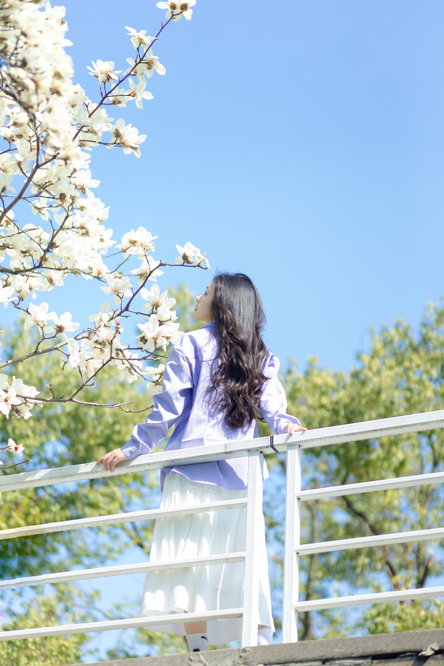 春和景明 木柚柚