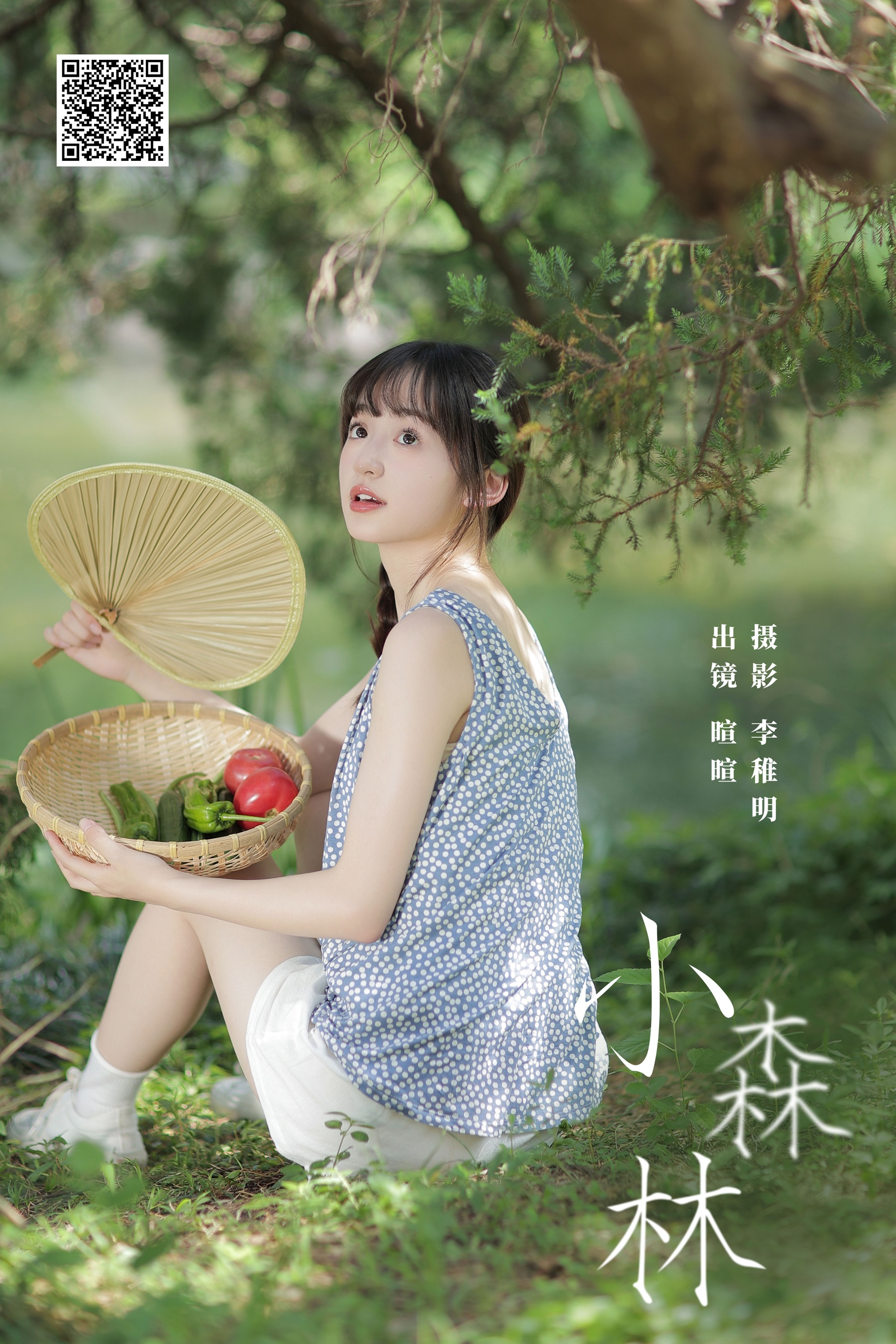 小森林 licaicain