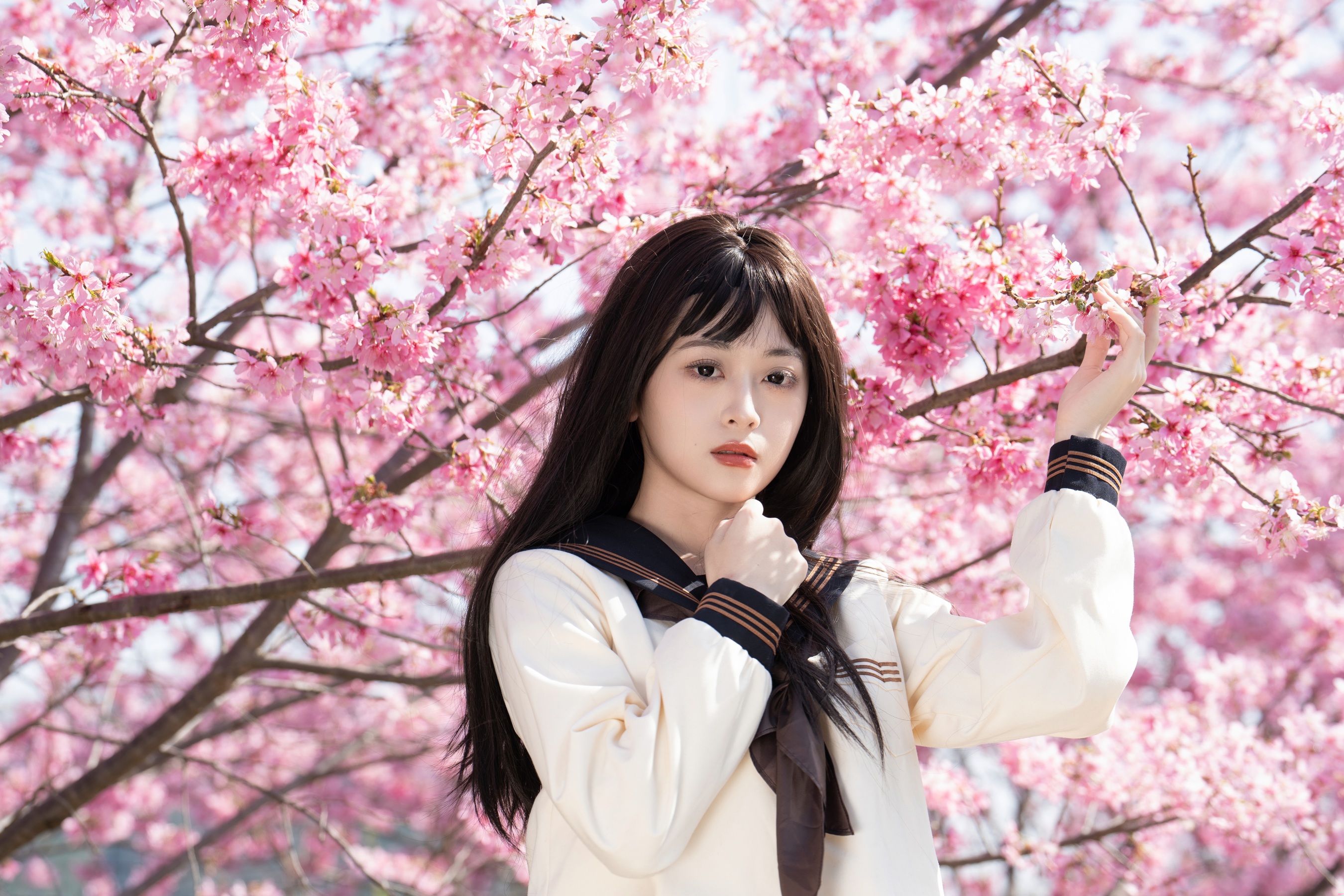 樱花少女 安琪不吃香菇