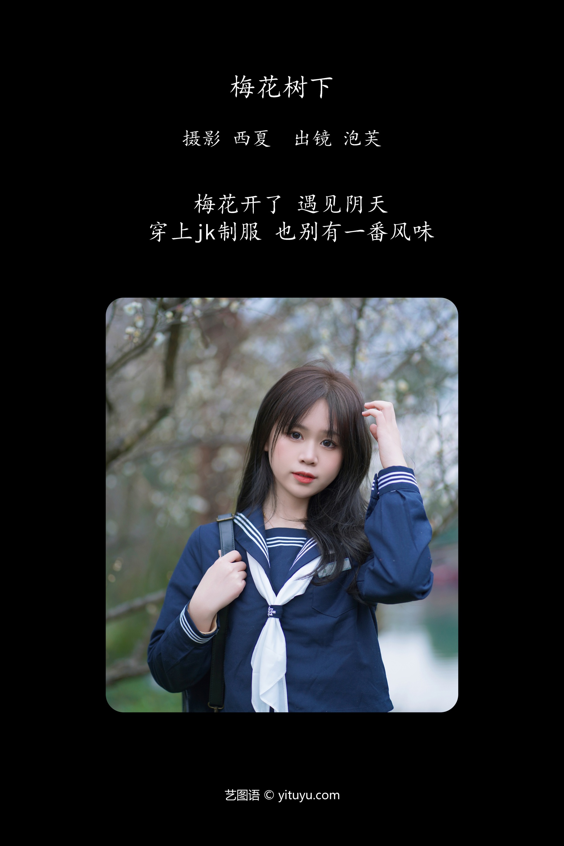 梅花树下 泡芙小方
