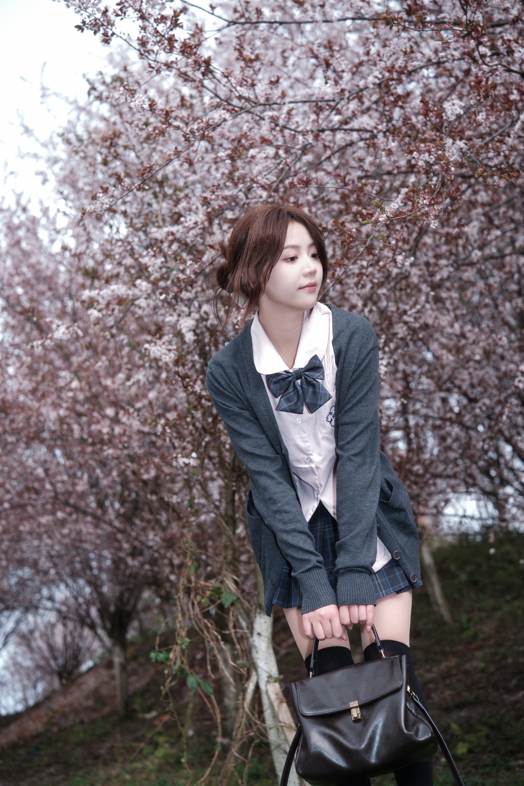 紫叶李jk 佳佳