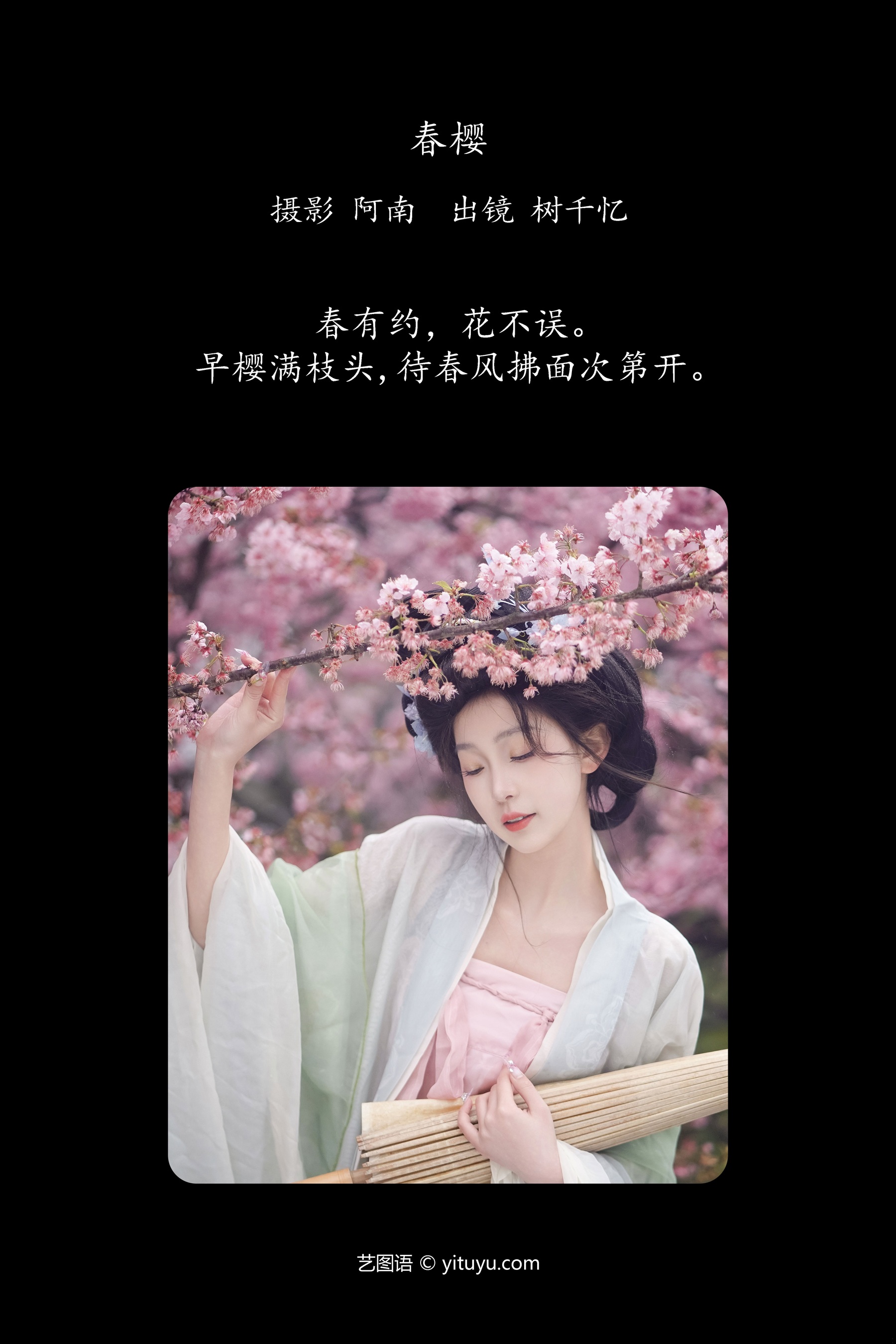 春樱 树芊忆