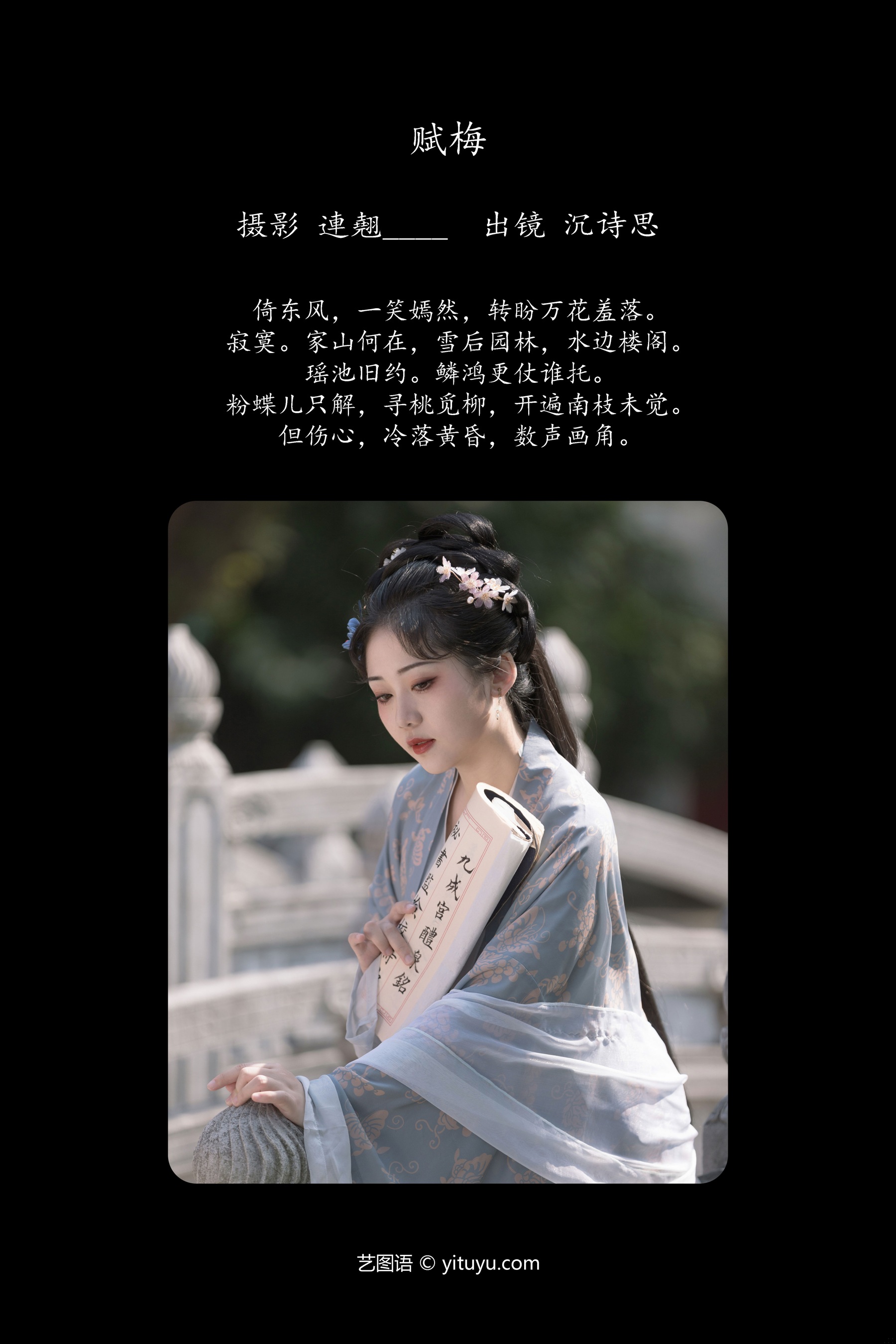 赋梅 沉诗思