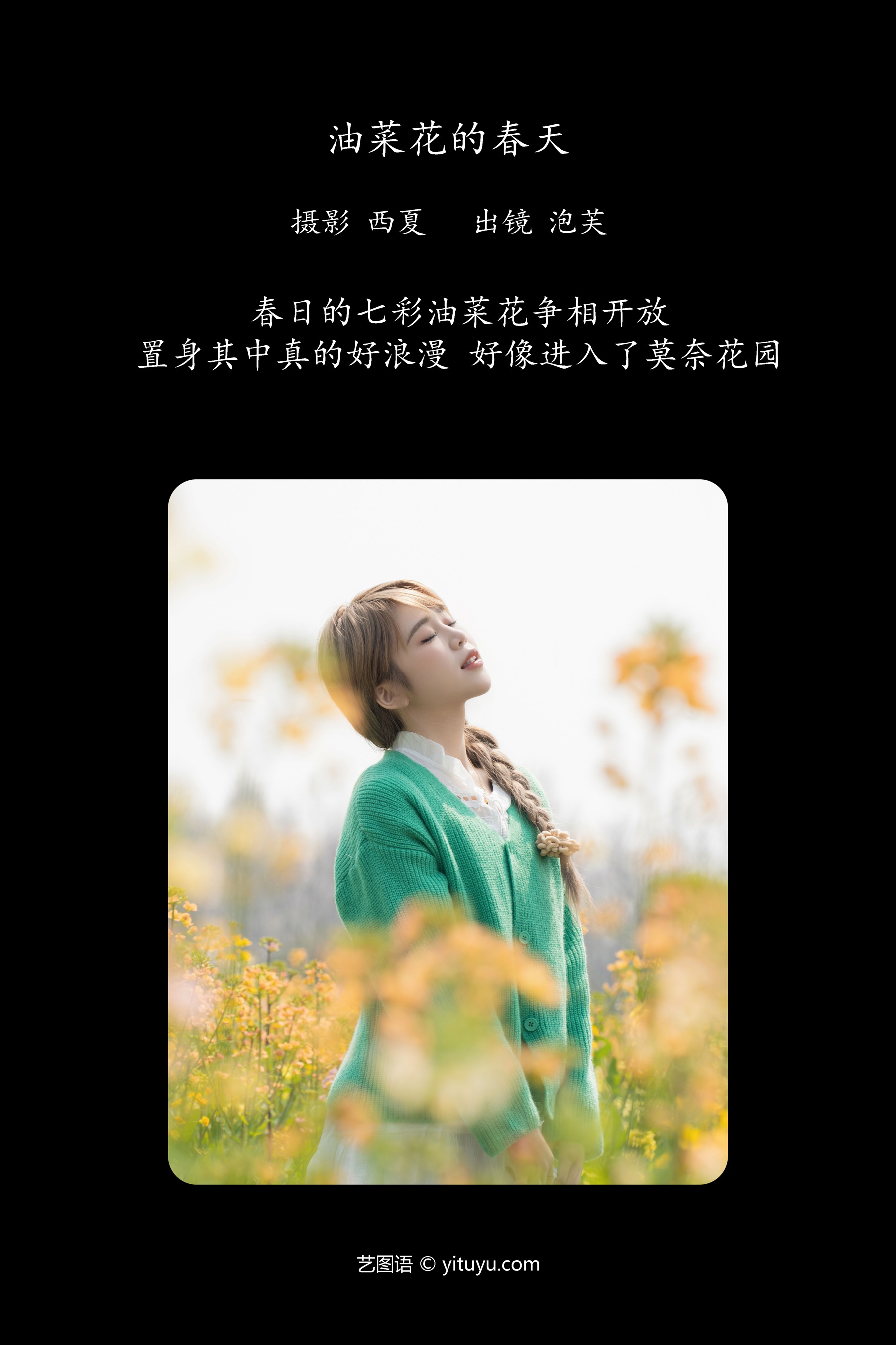 油菜花的春天 泡芙小方