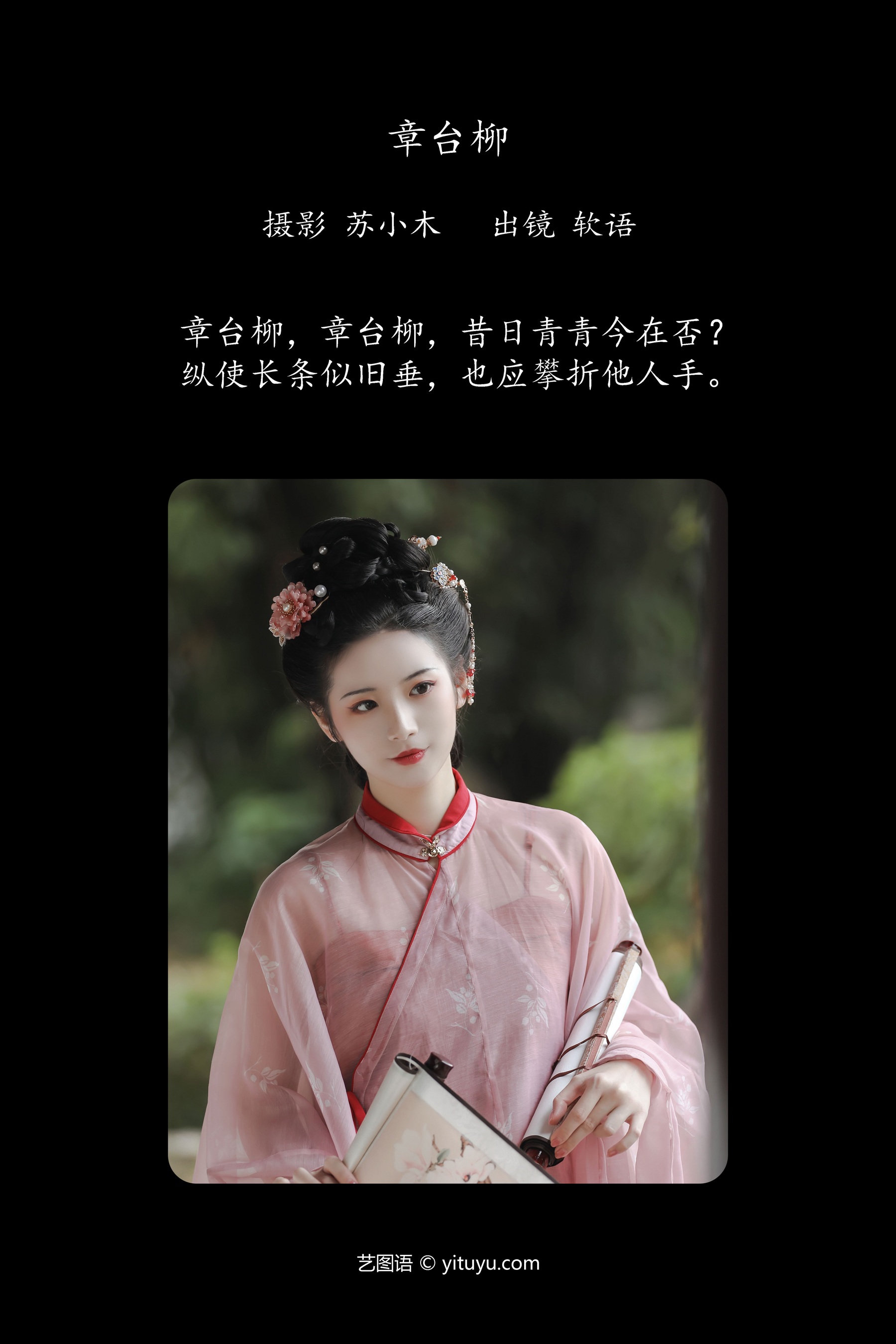 章台柳 软语