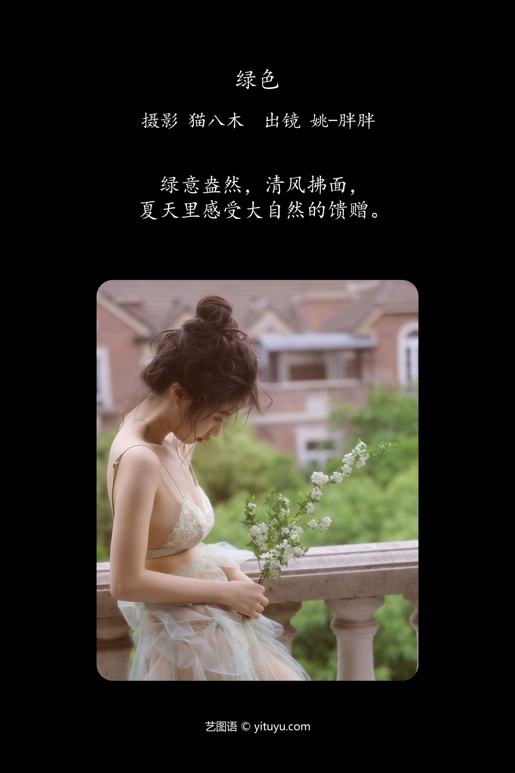 绿色 姚-胖胖