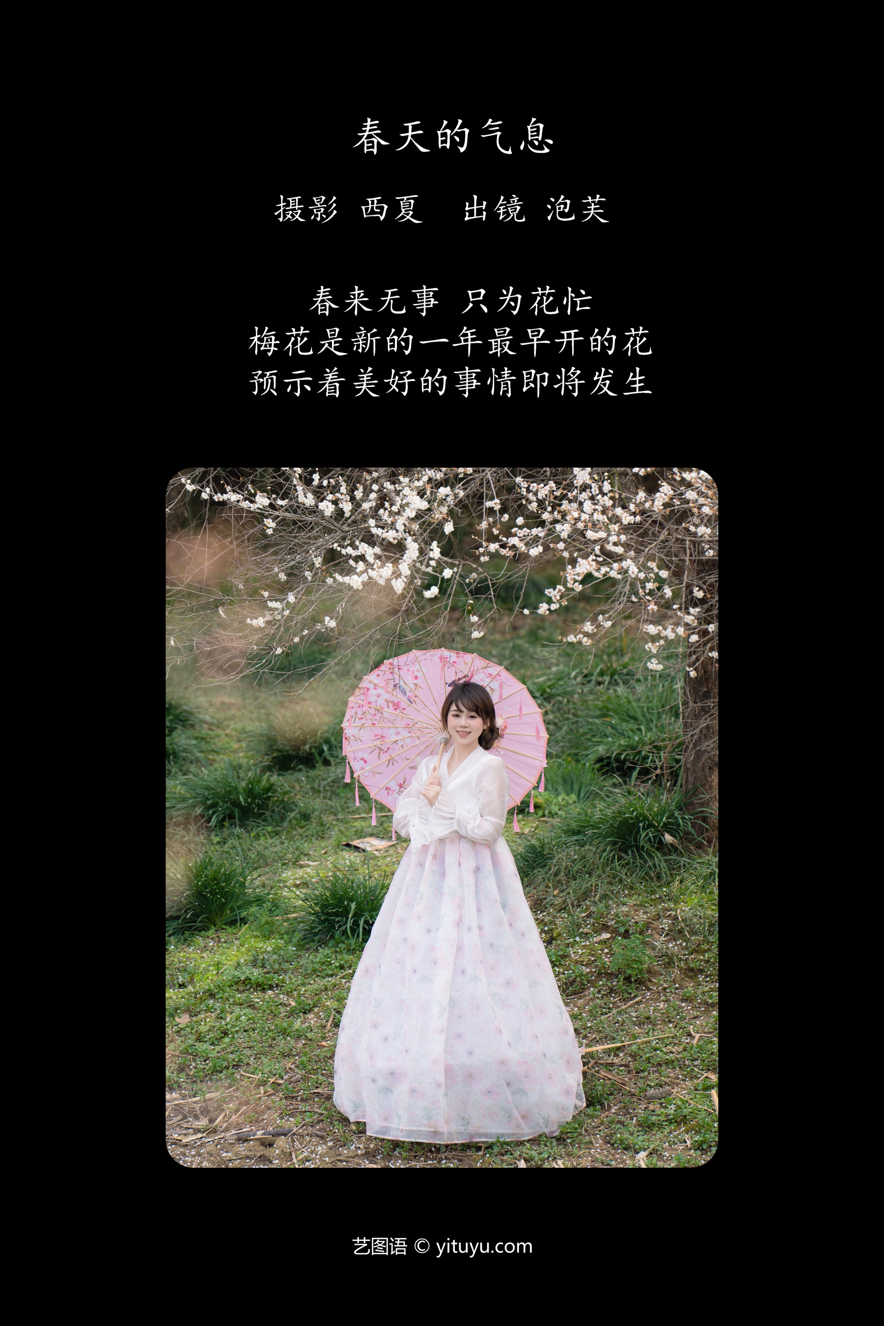 春天的气息 泡芙小方