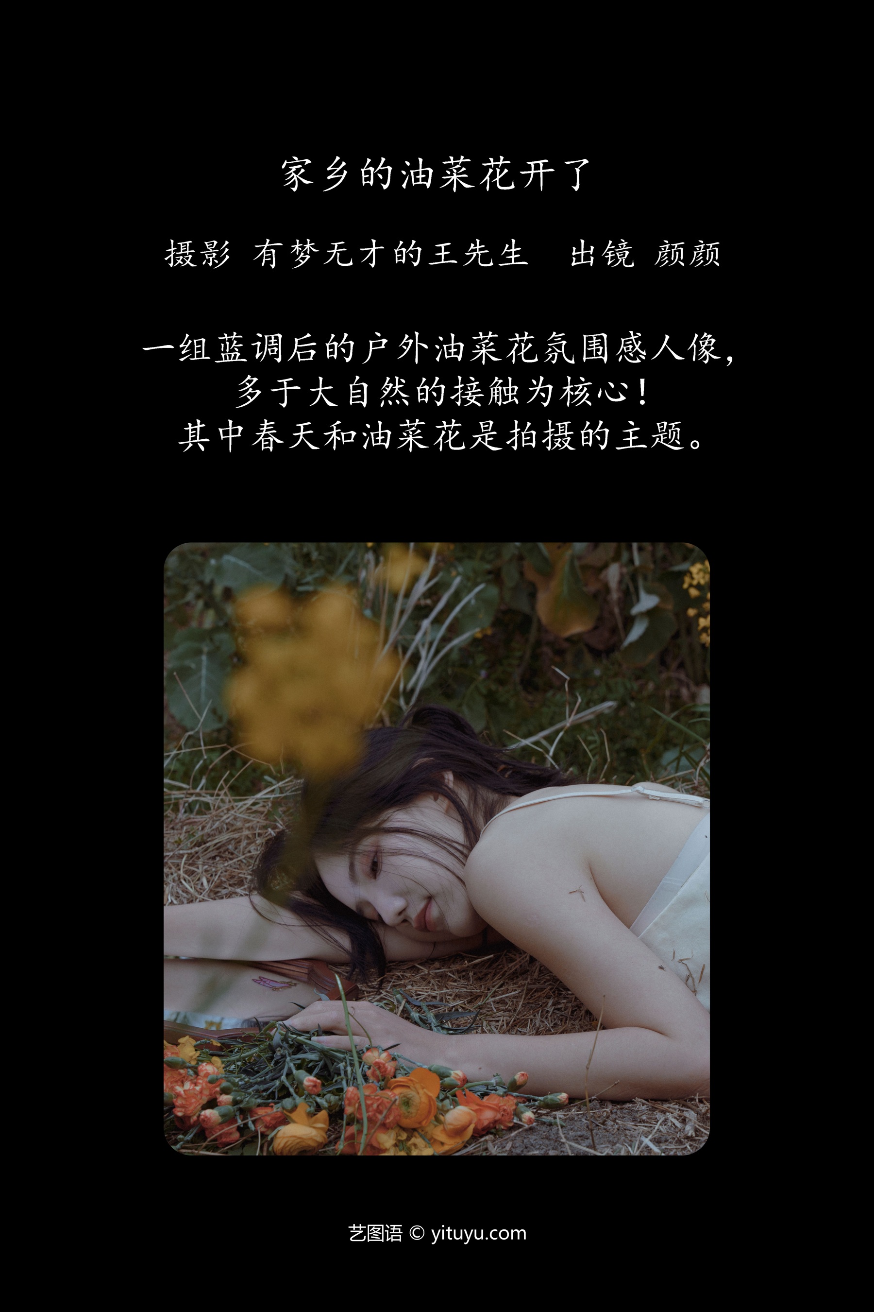 家乡的油菜花开了 颜十一
