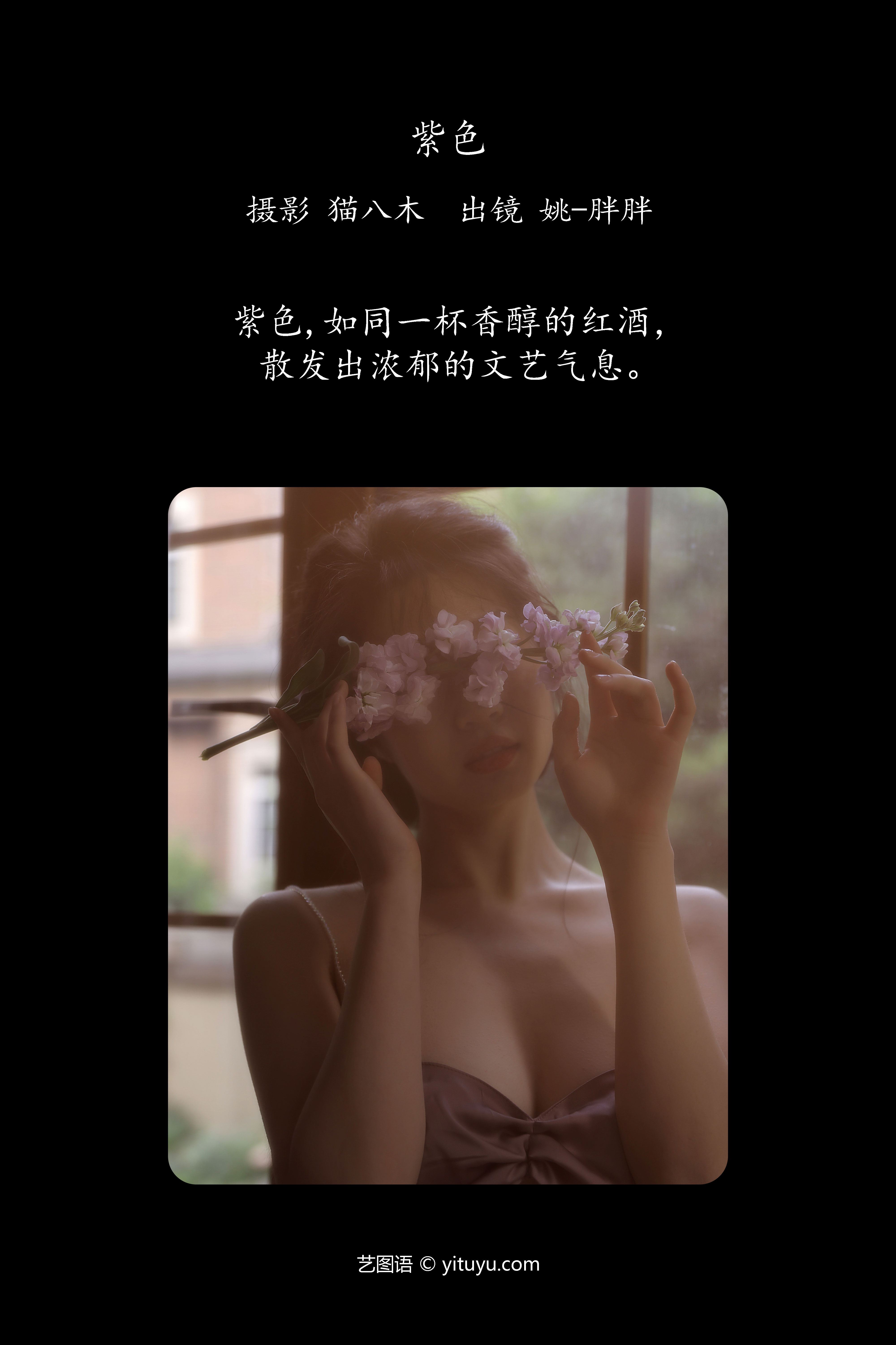 紫色 姚-胖胖