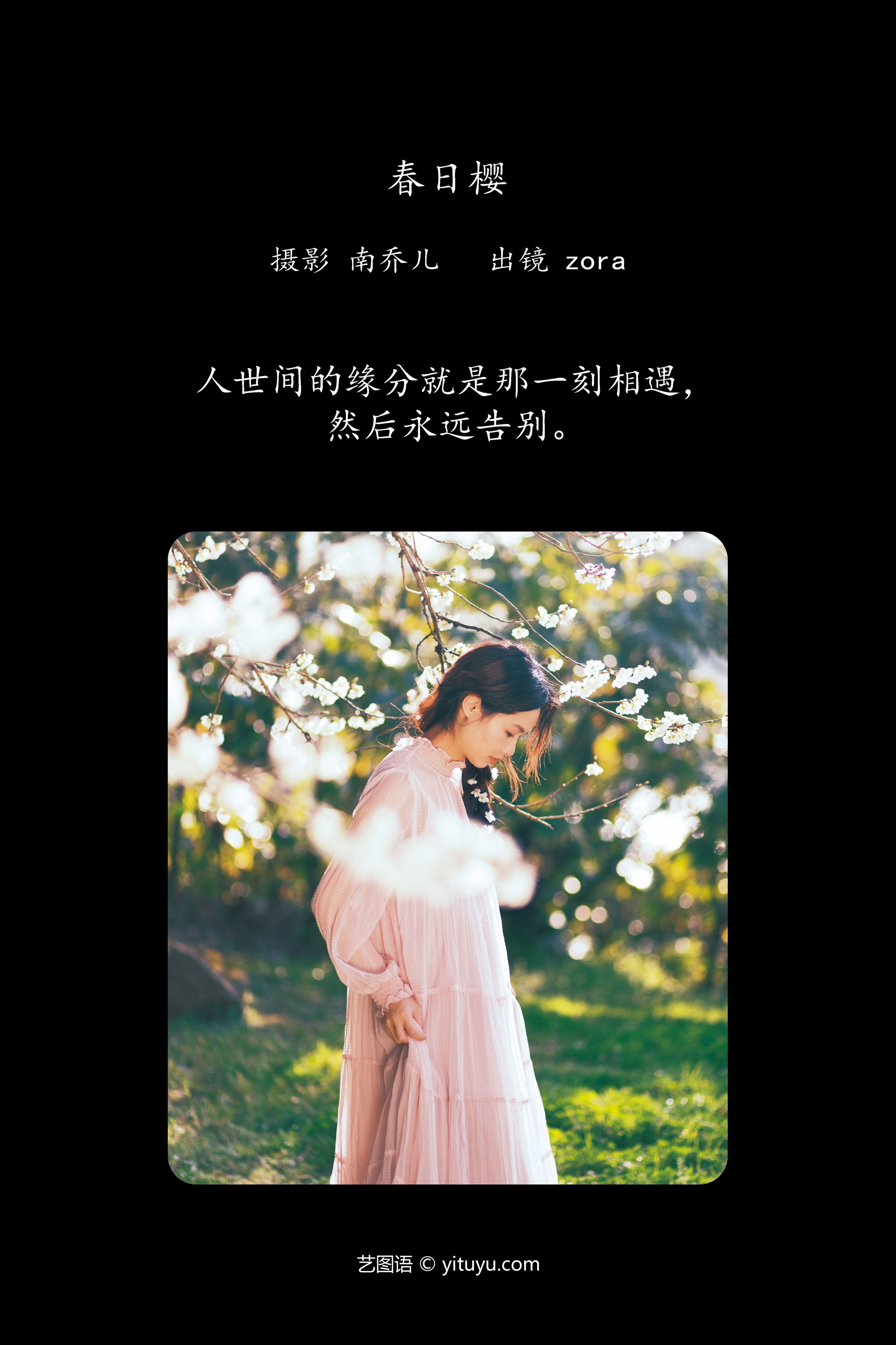 春日樱 zora