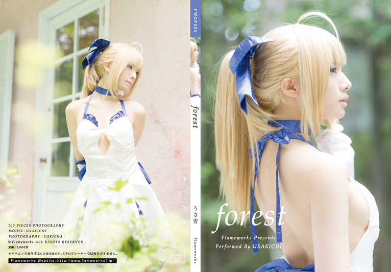 forest