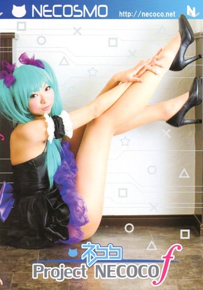 Project Necoco-f