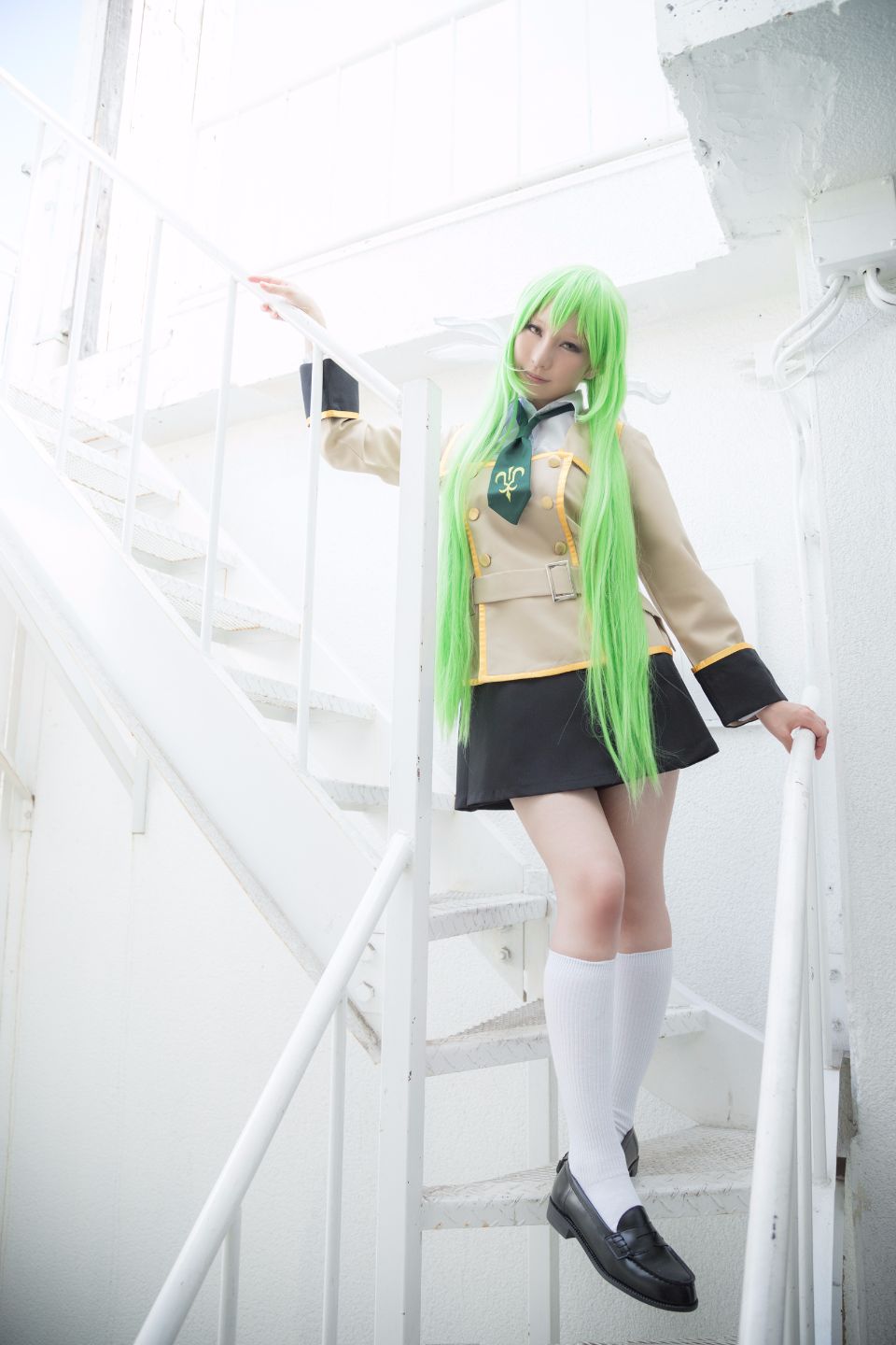 Canary 葵
