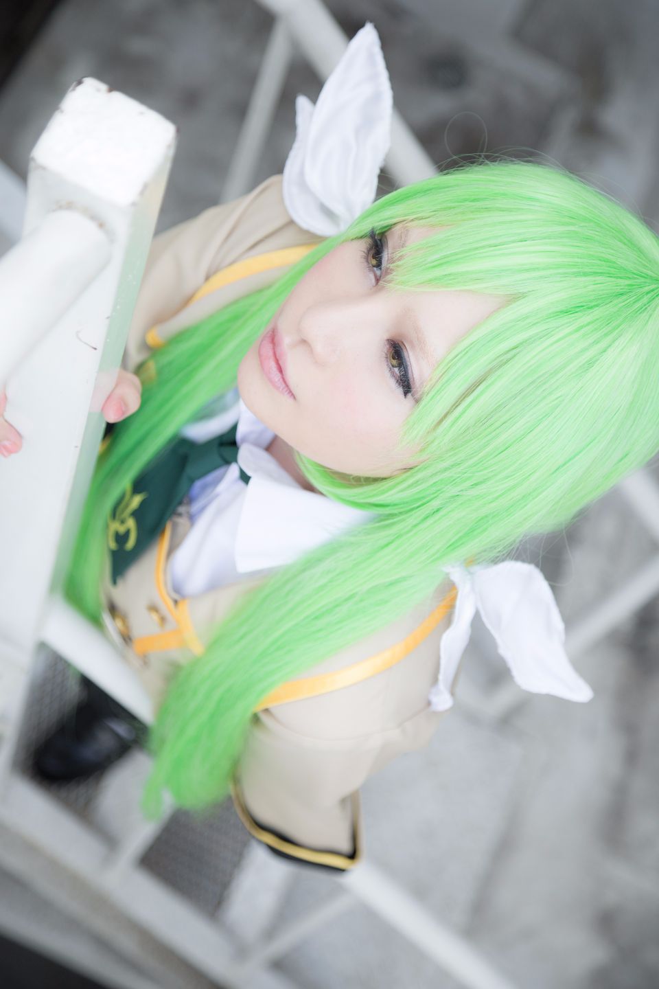 Canary 葵