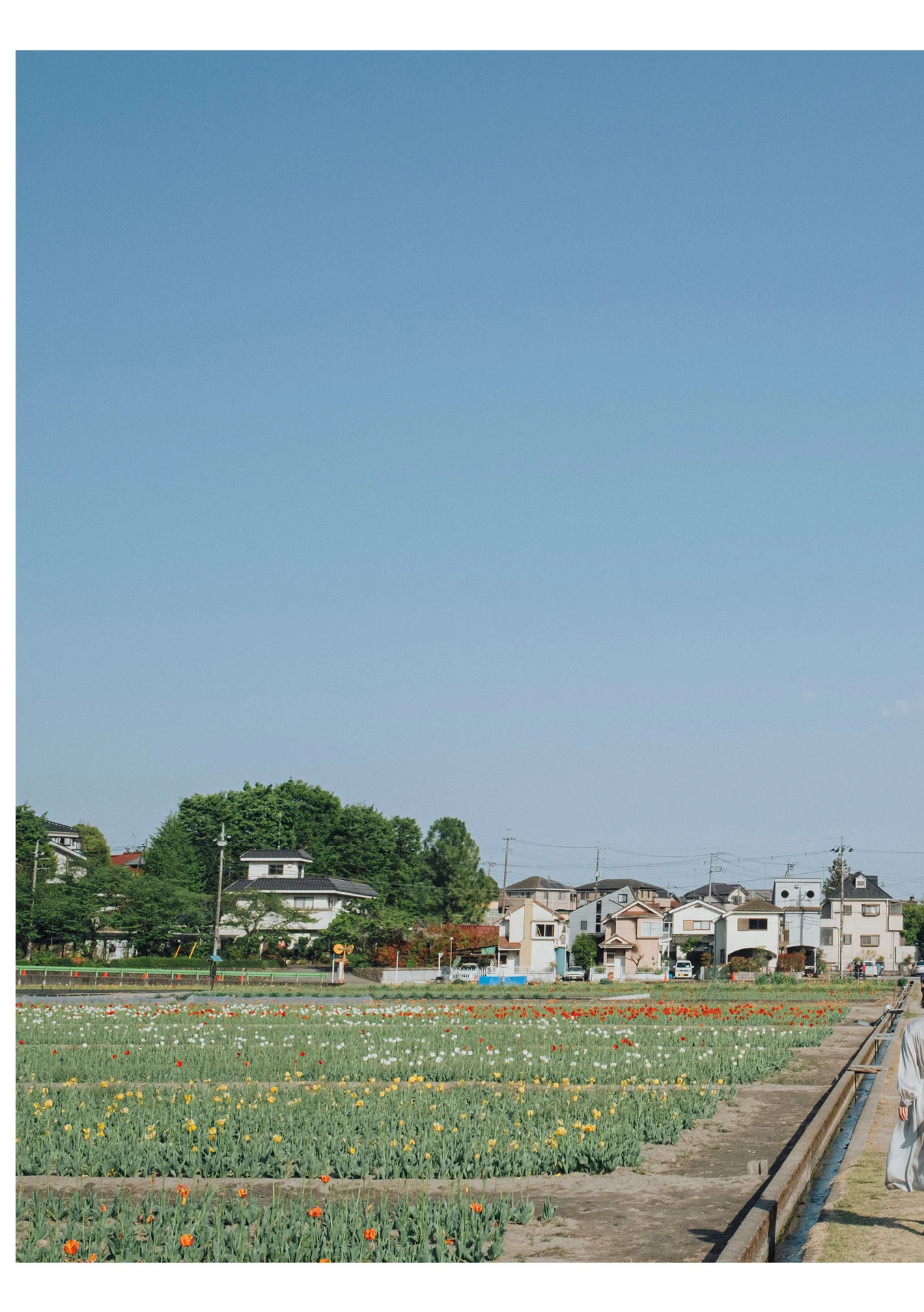 小島みなみ デジタル写真集 とられち