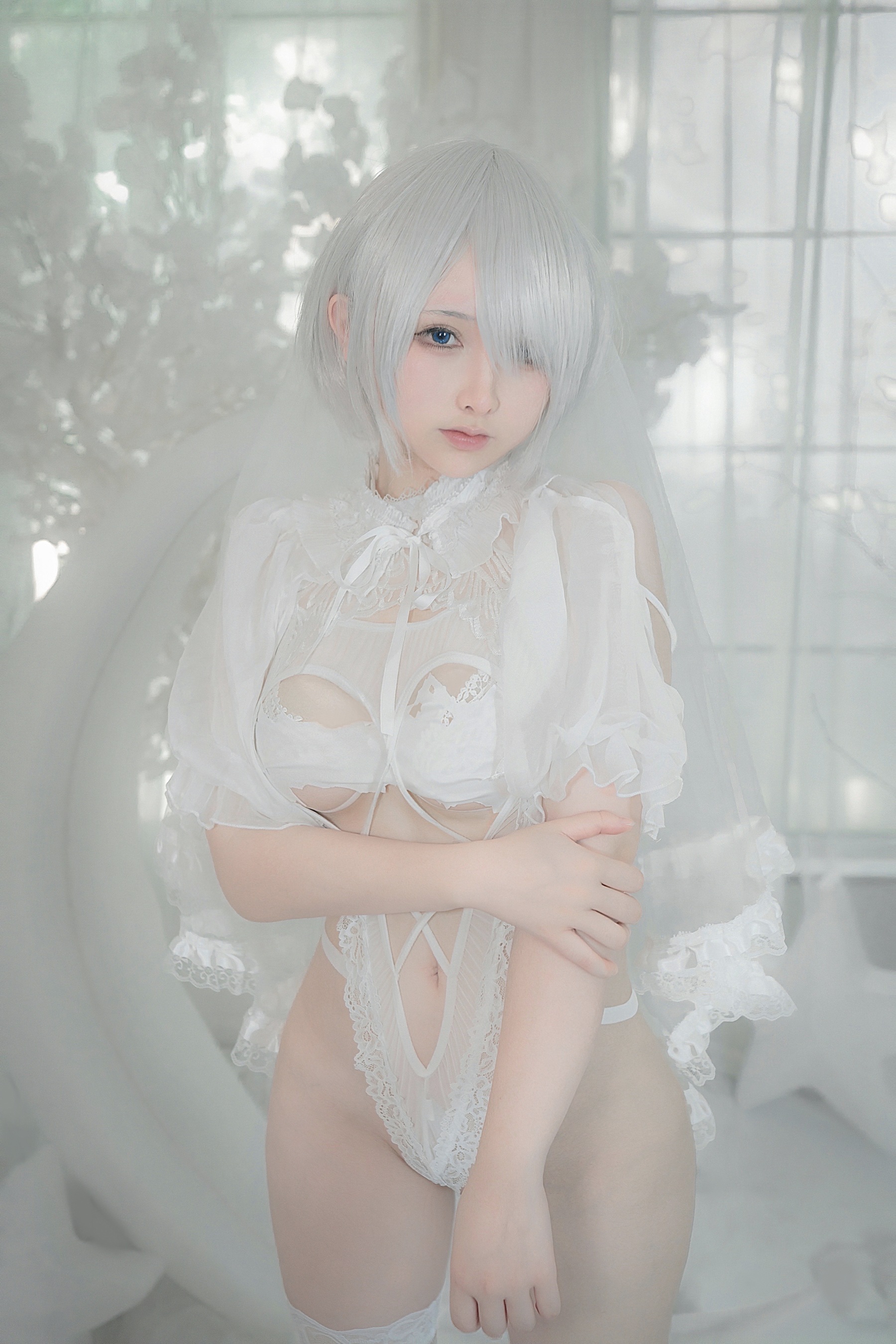 2B白花嫁
