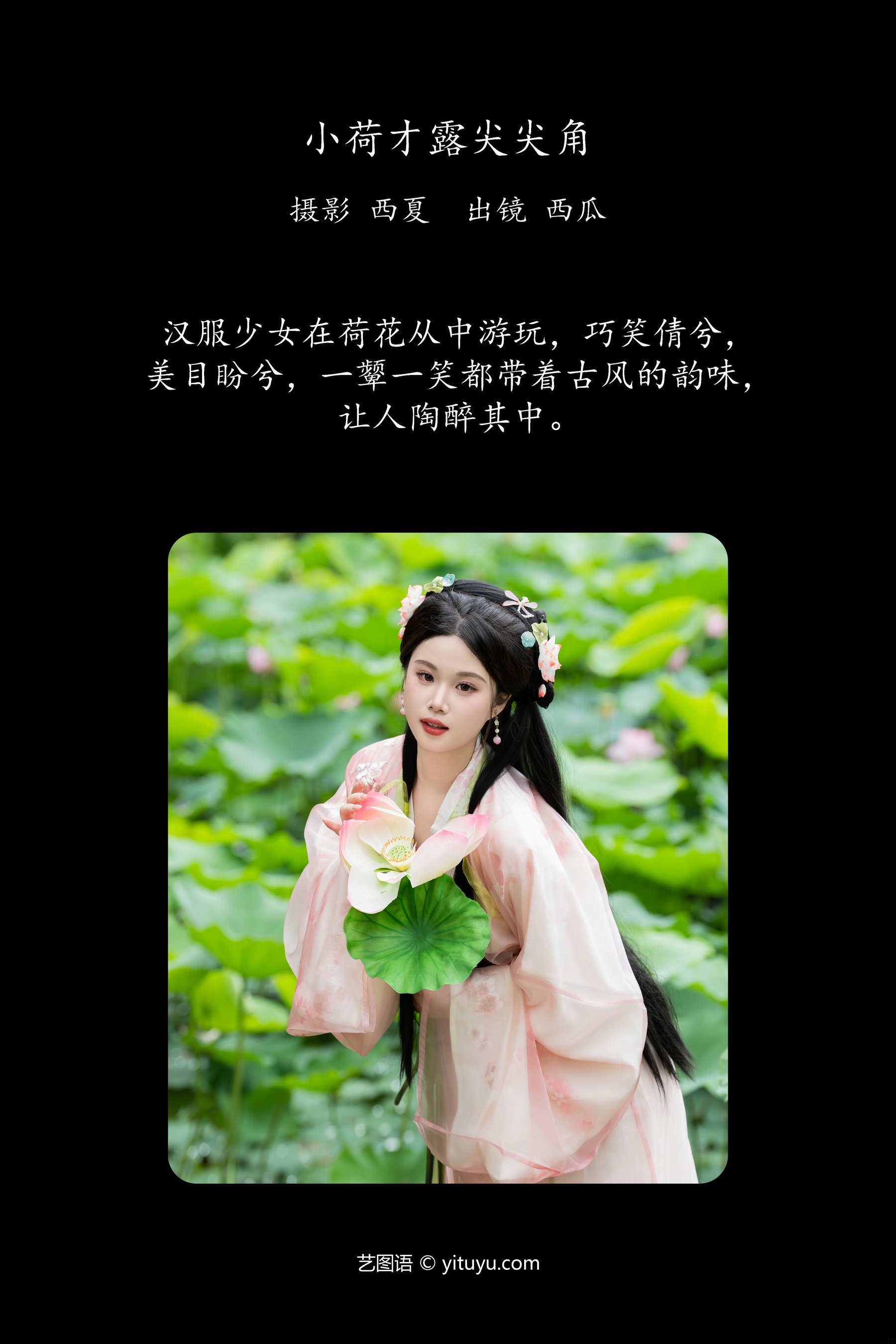 小荷才露尖尖角 西瓜