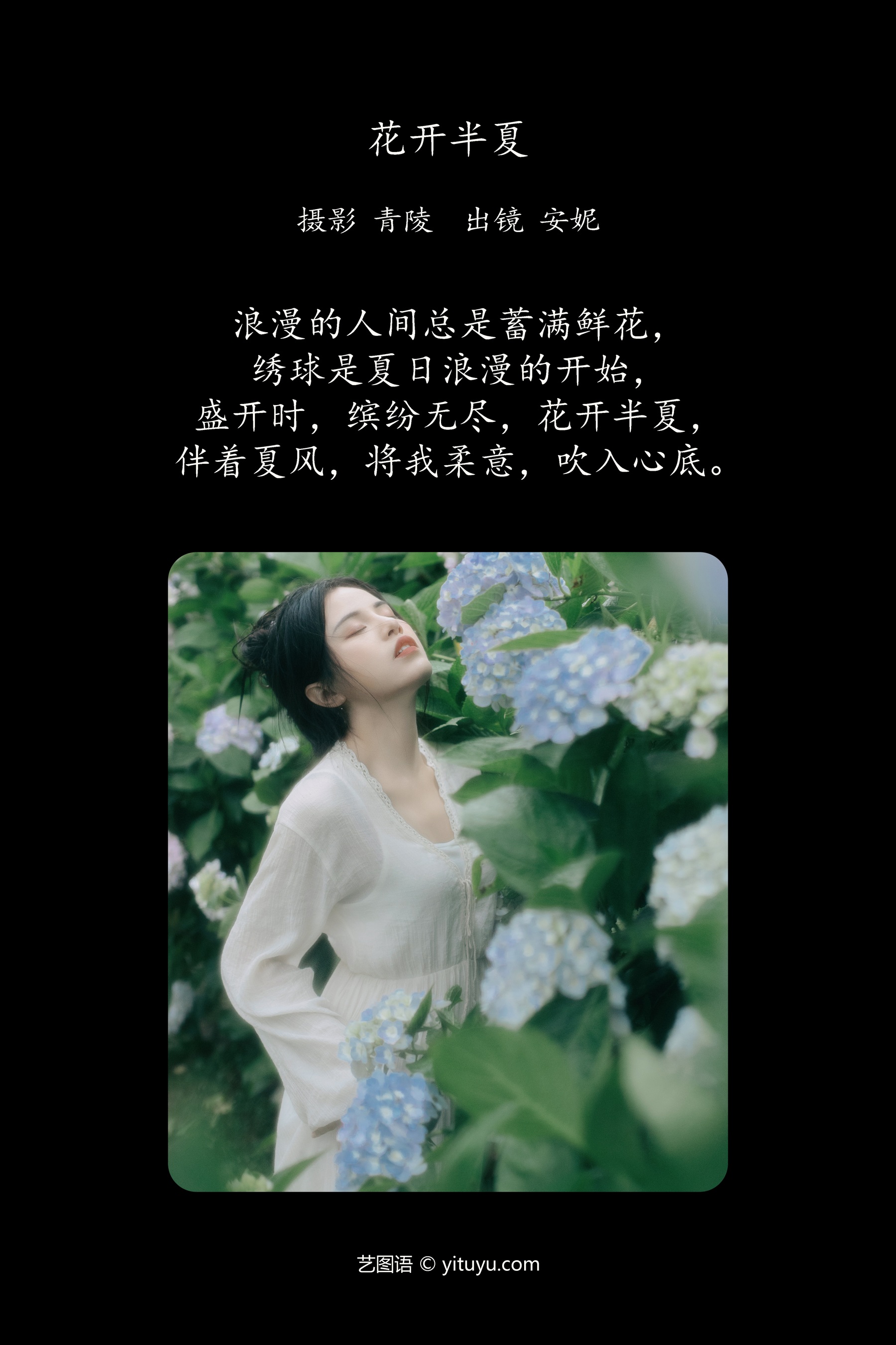 花开半夏 安妮