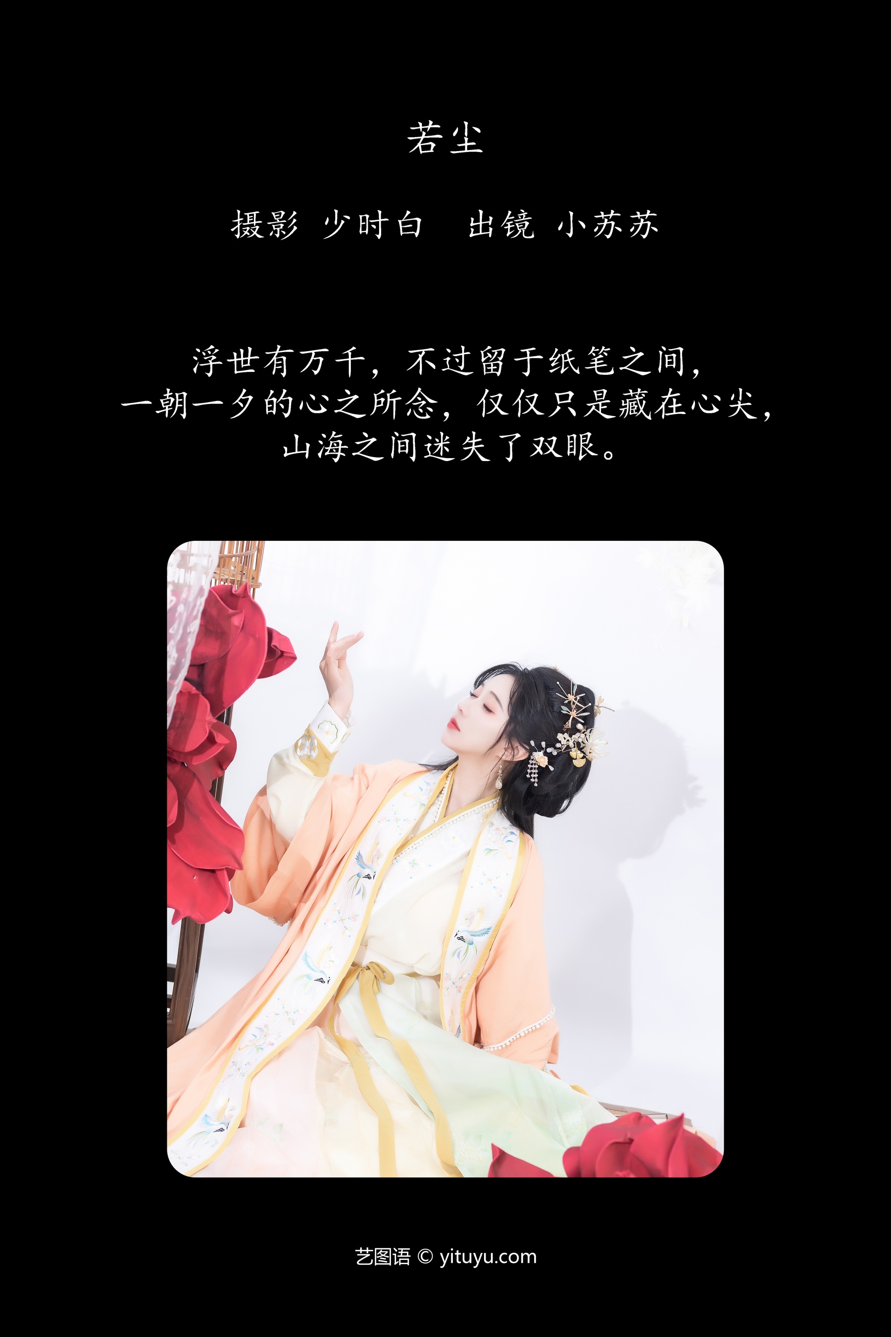 若尘 绮罗生的小苏苏