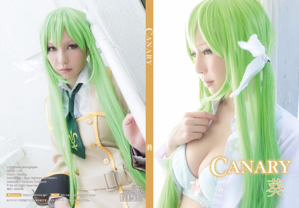 Canary 葵