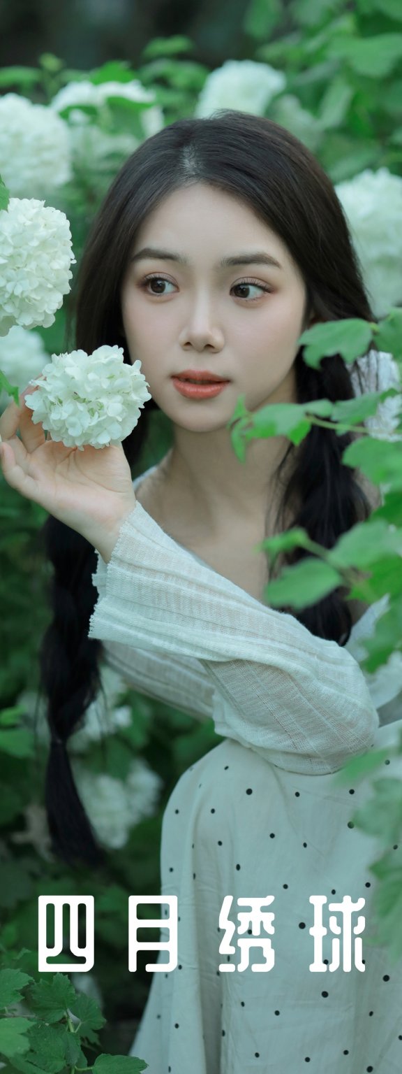 四月绣球 我不刷鸟