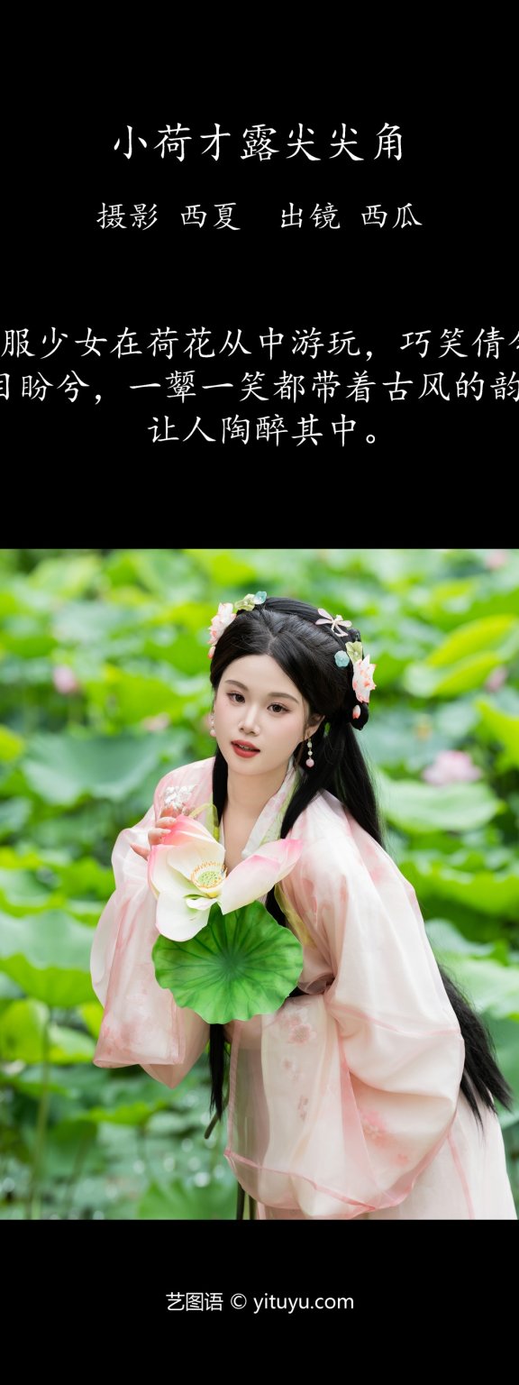 小荷才露尖尖角 西瓜