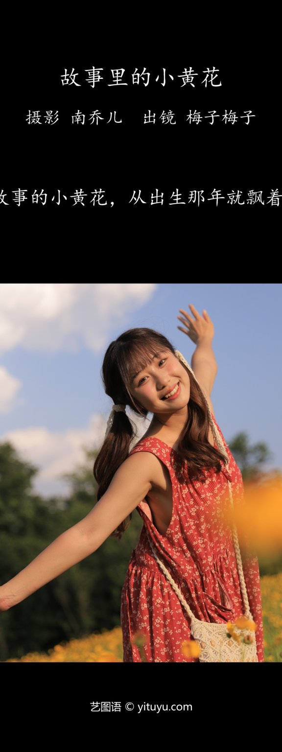 故事里的小黄花 梅子梅子