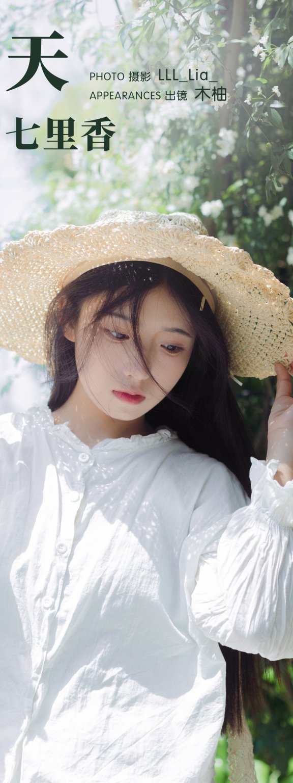 春天和七里香 木柚柚